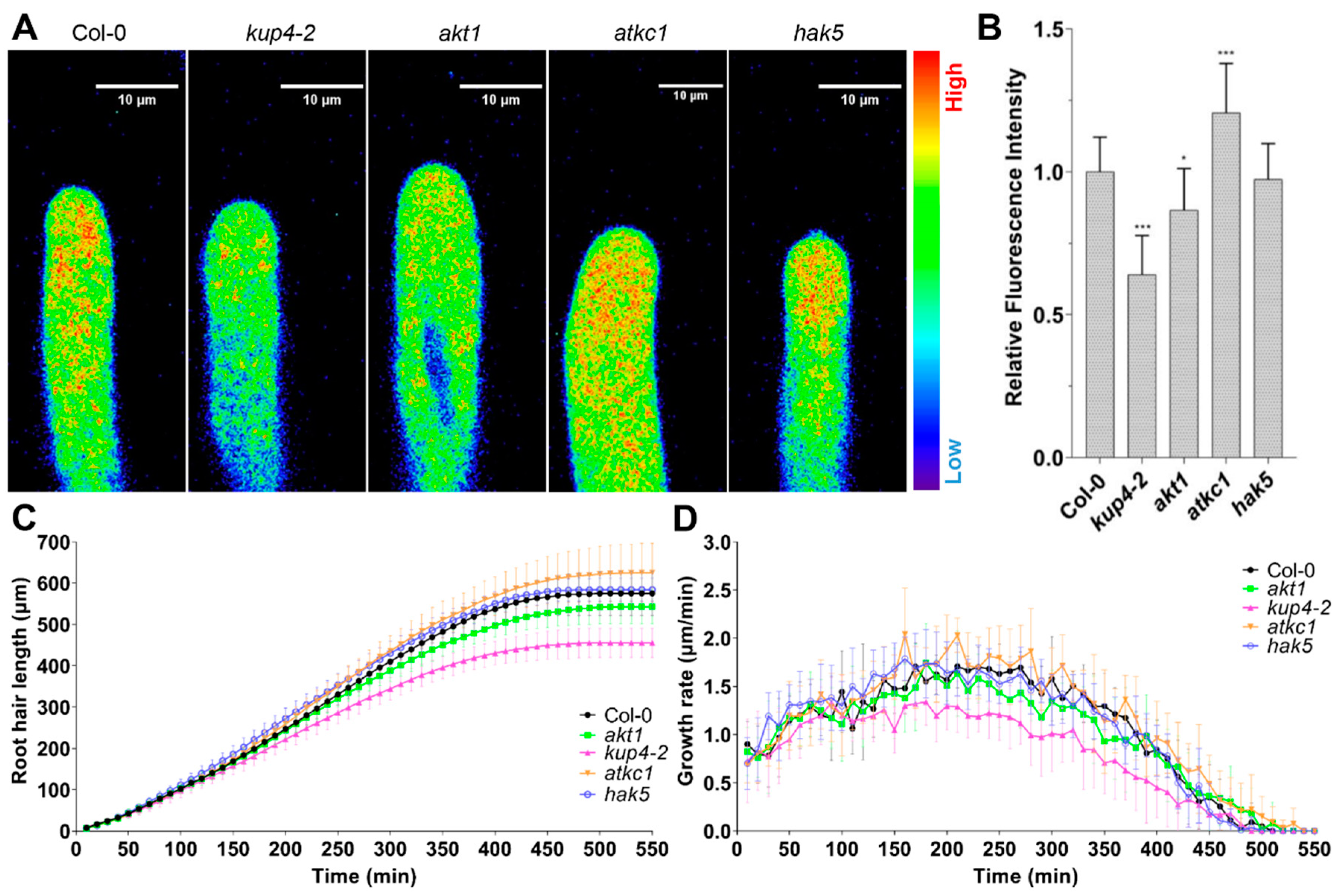 Ijms 21 06184 g002 Ijms 21 06184 g002