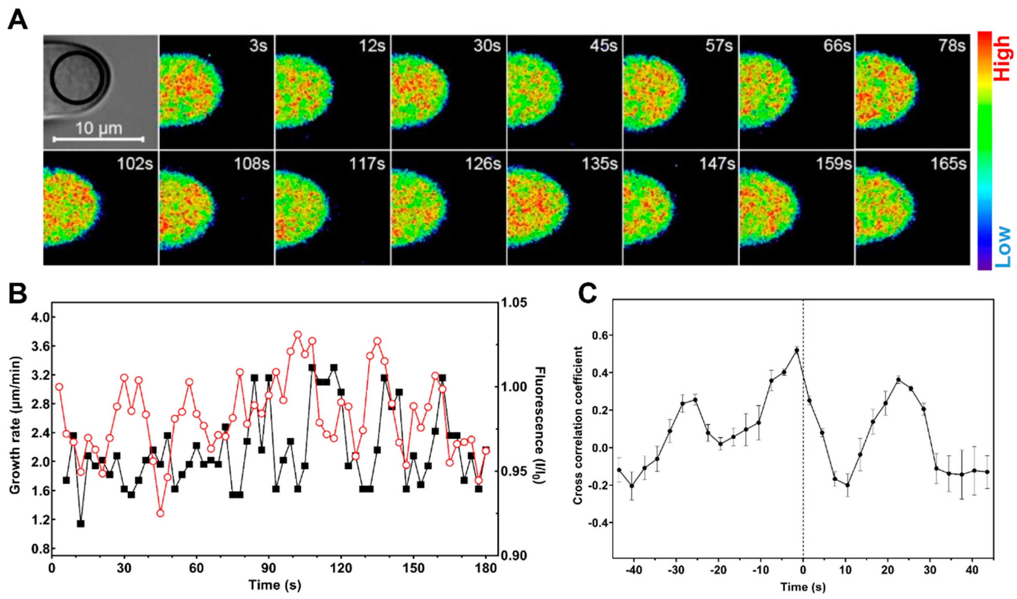 Ijms 21 06184 g003 Ijms 21 06184 g003