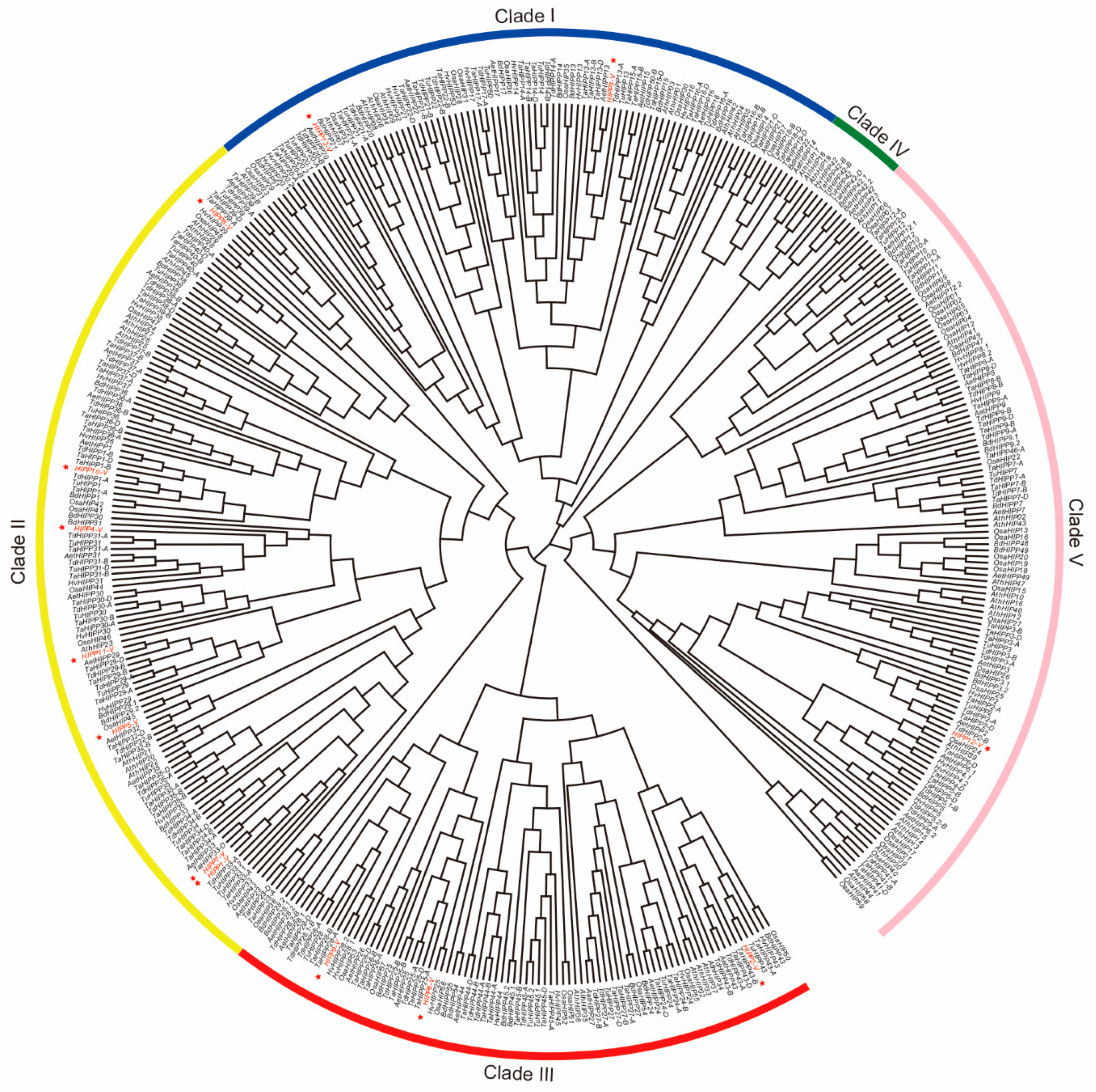 Ijms 21 06191 g002 Ijms 21 06191 g002