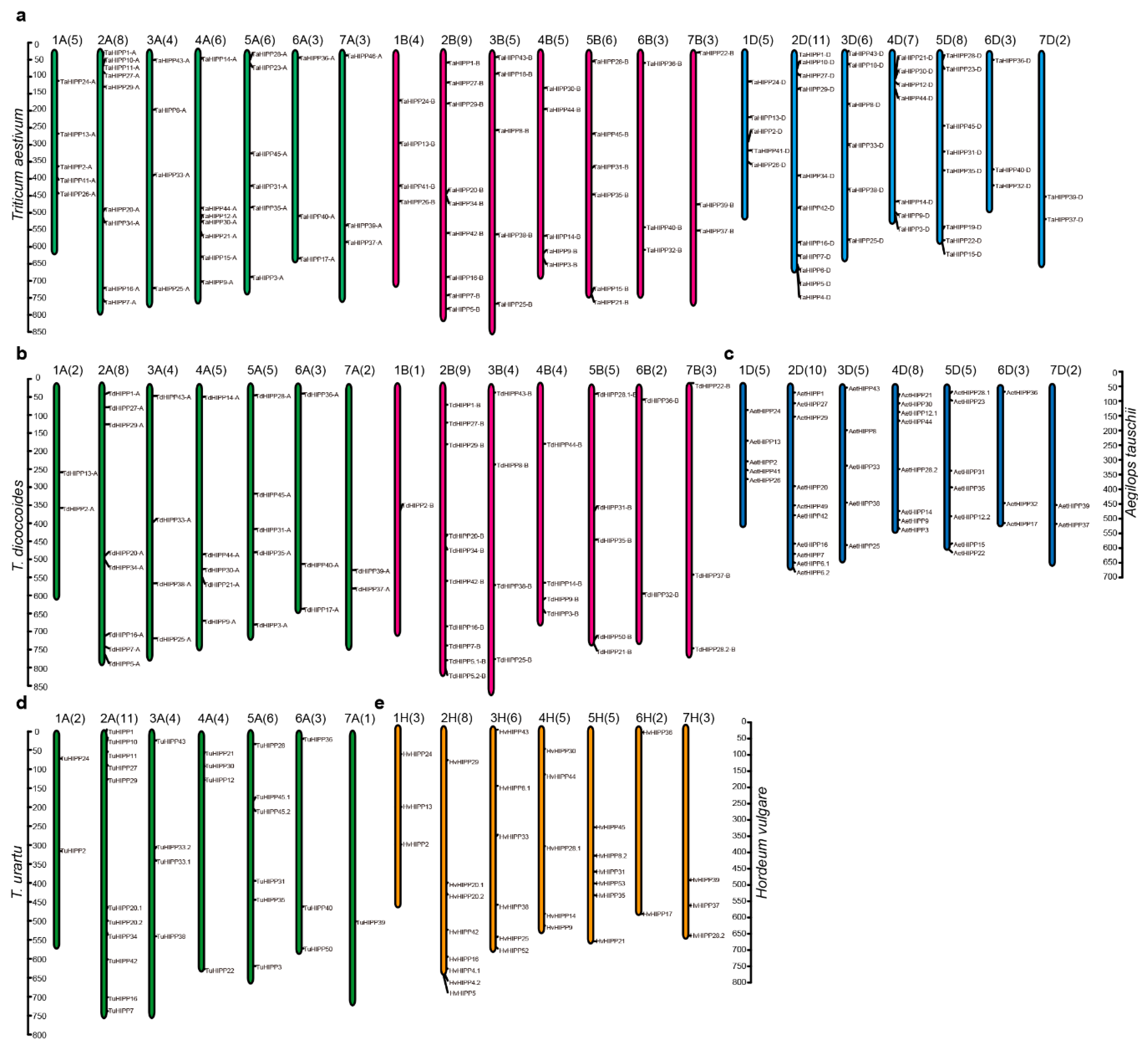 Ijms 21 06191 g003 Ijms 21 06191 g003