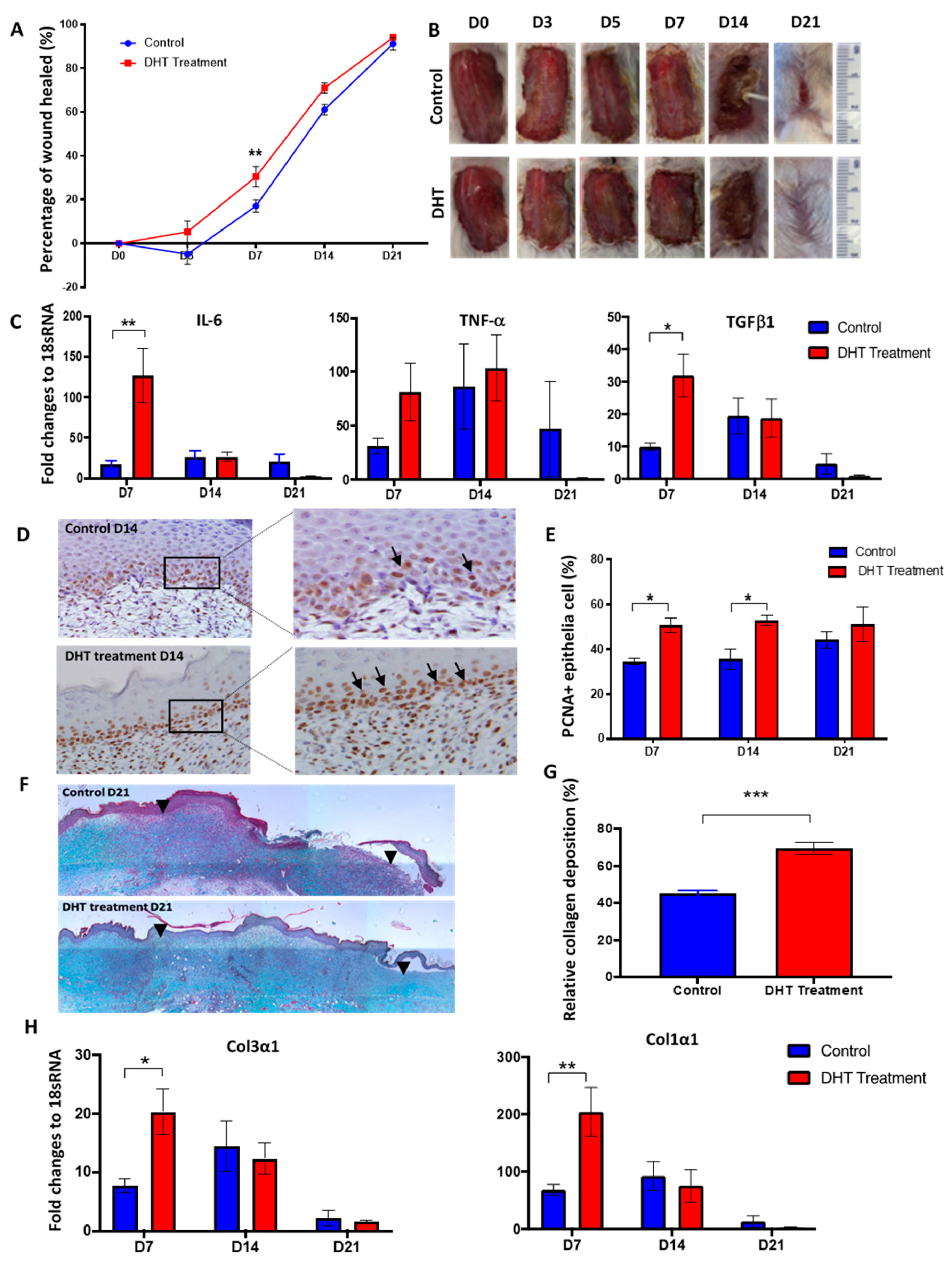 Ijms 21 06231 g001 Ijms 21 06231 g001