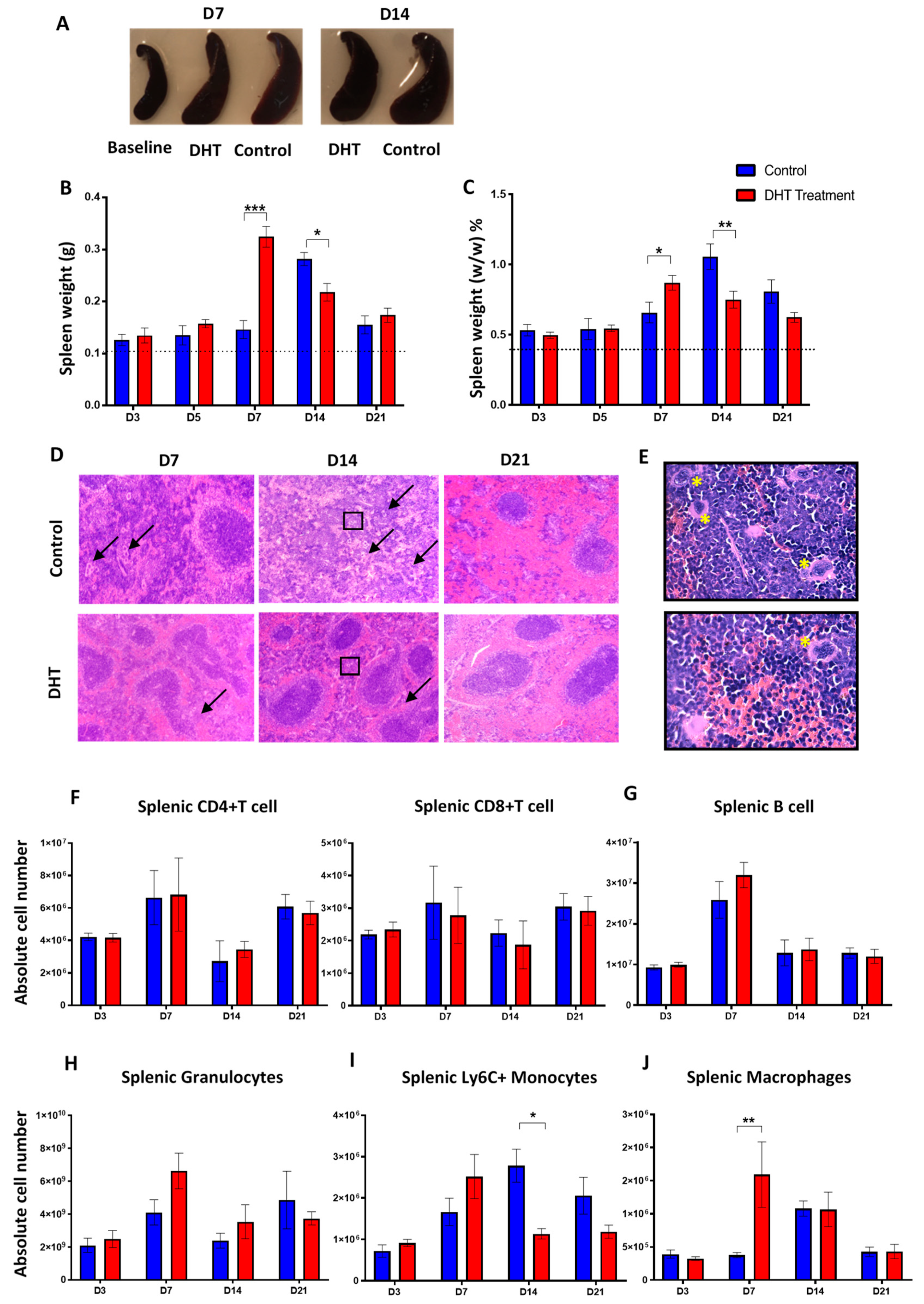 Ijms 21 06231 g004 Ijms 21 06231 g004