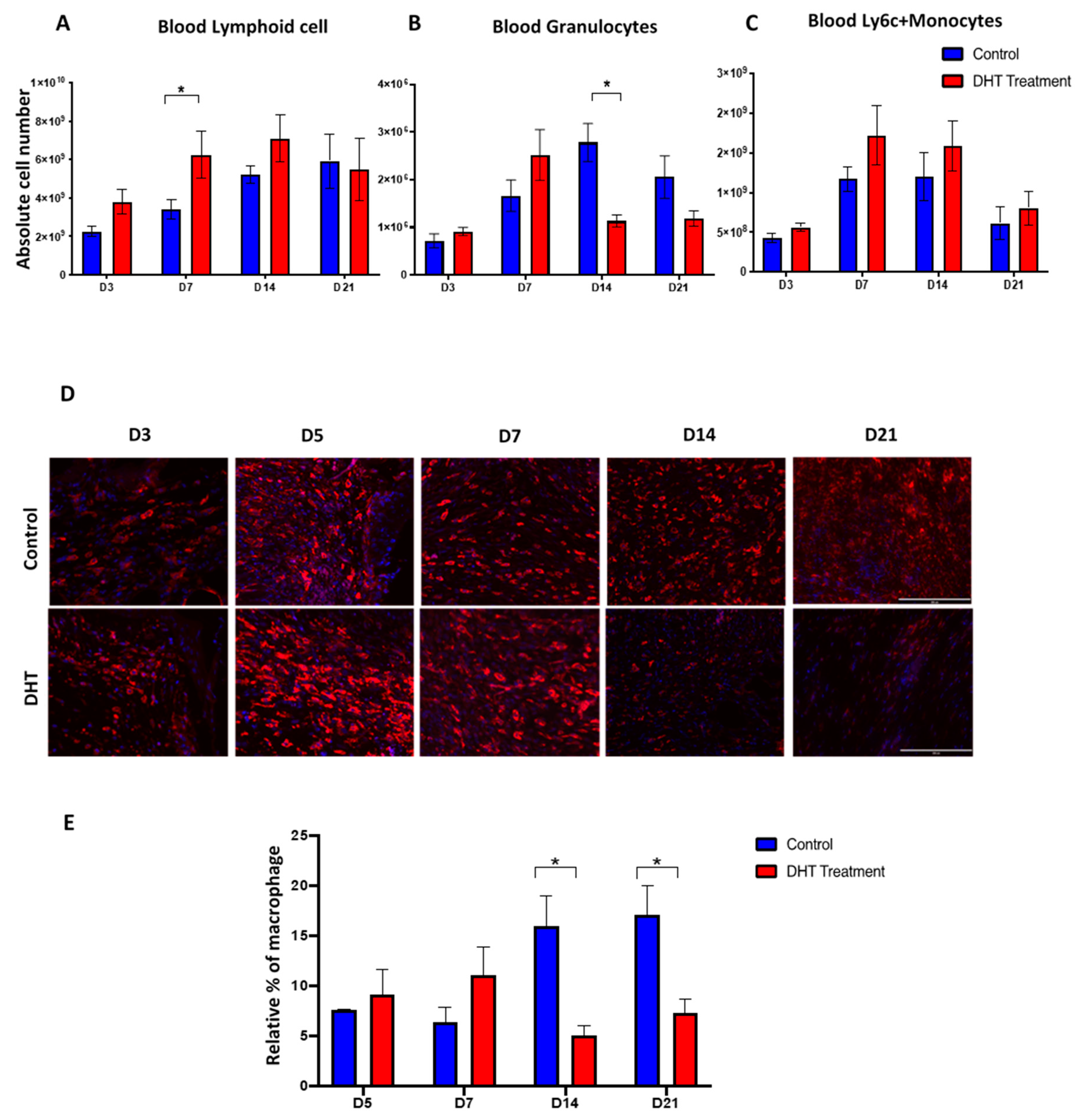 Ijms 21 06231 g005 Ijms 21 06231 g005