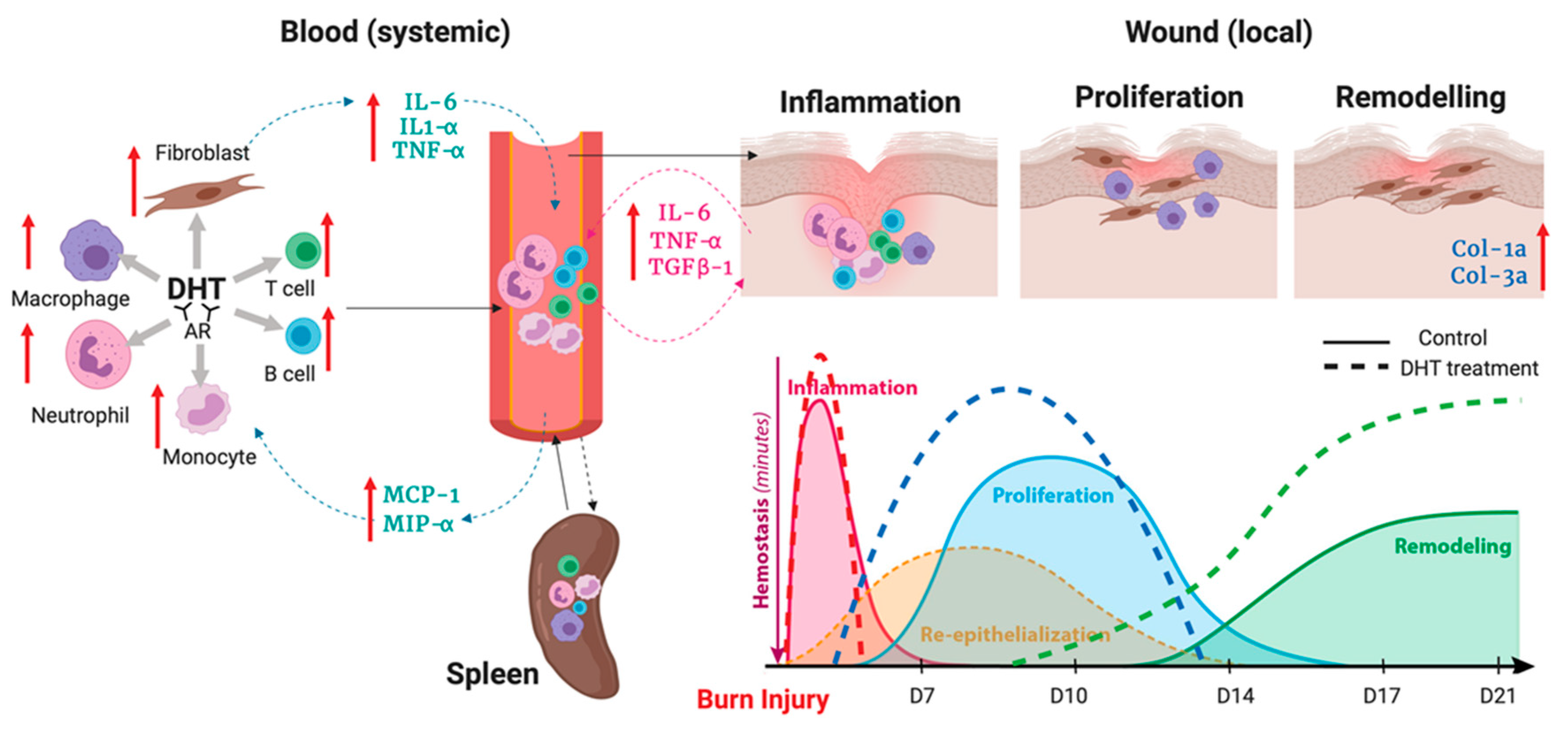 Ijms 21 06231 g006 Ijms 21 06231 g006