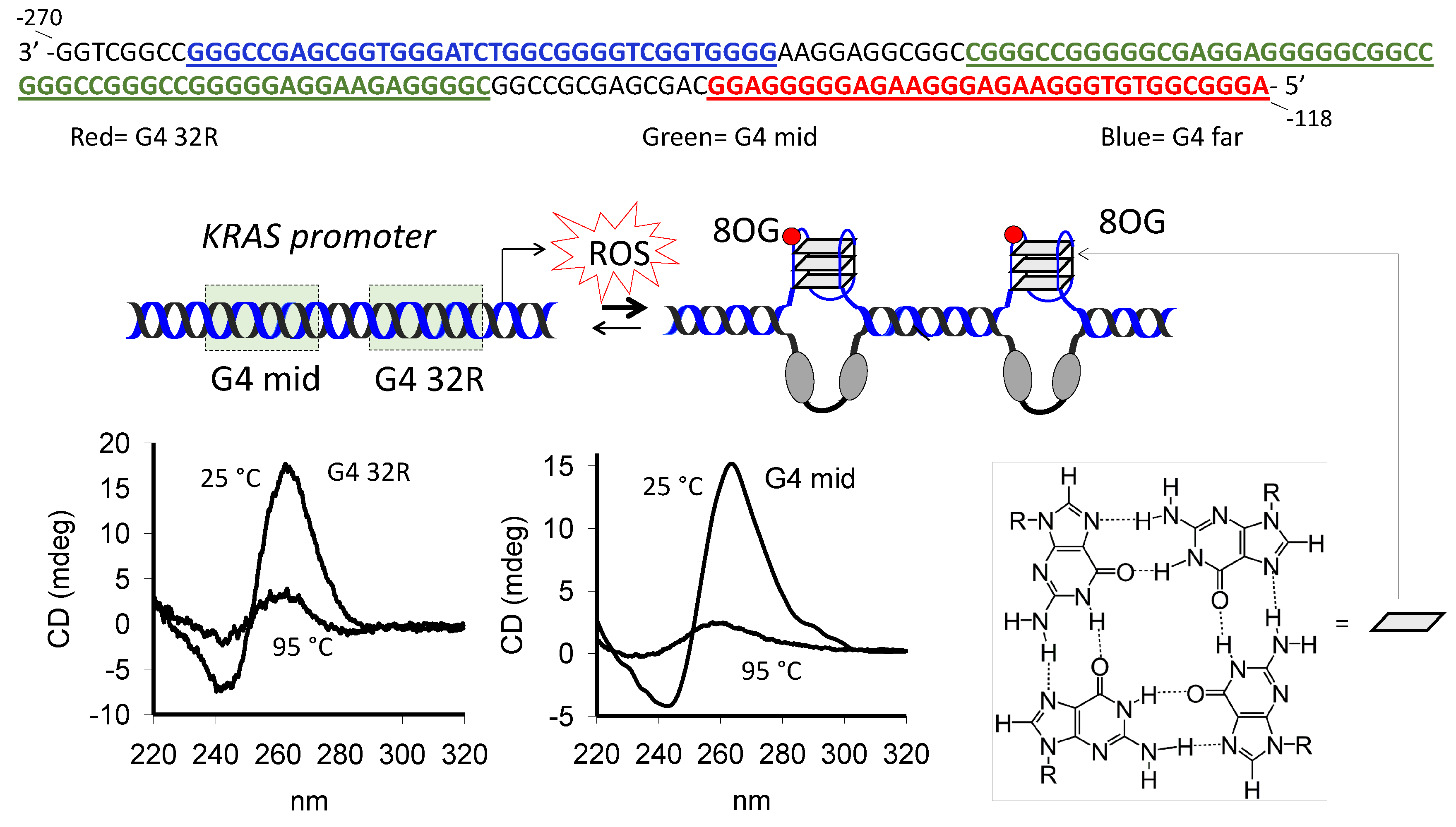 Ijms 21 06237 g001 Ijms 21 06237 g001
