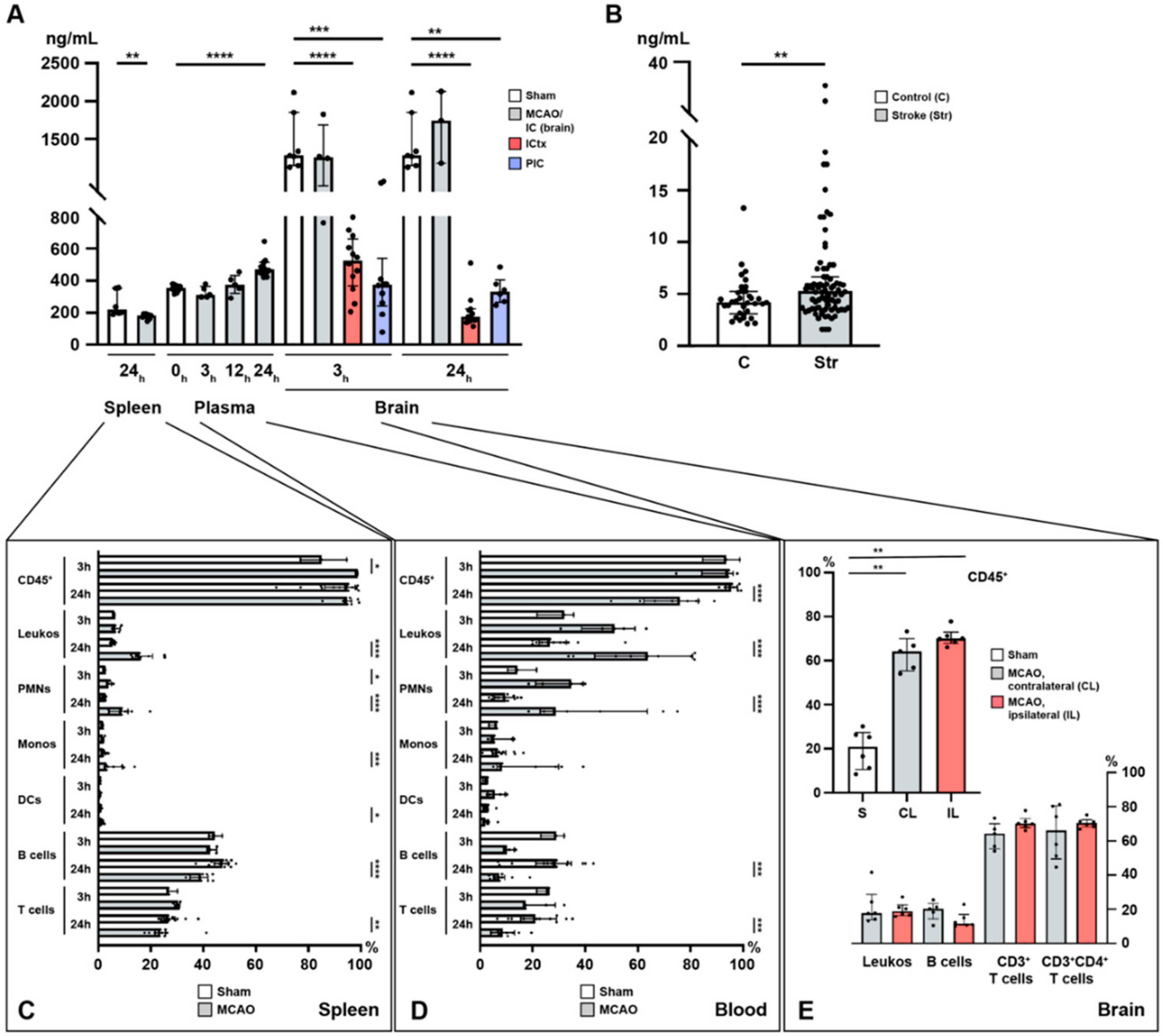 Ijms 21 06242 g001 Ijms 21 06242 g001
