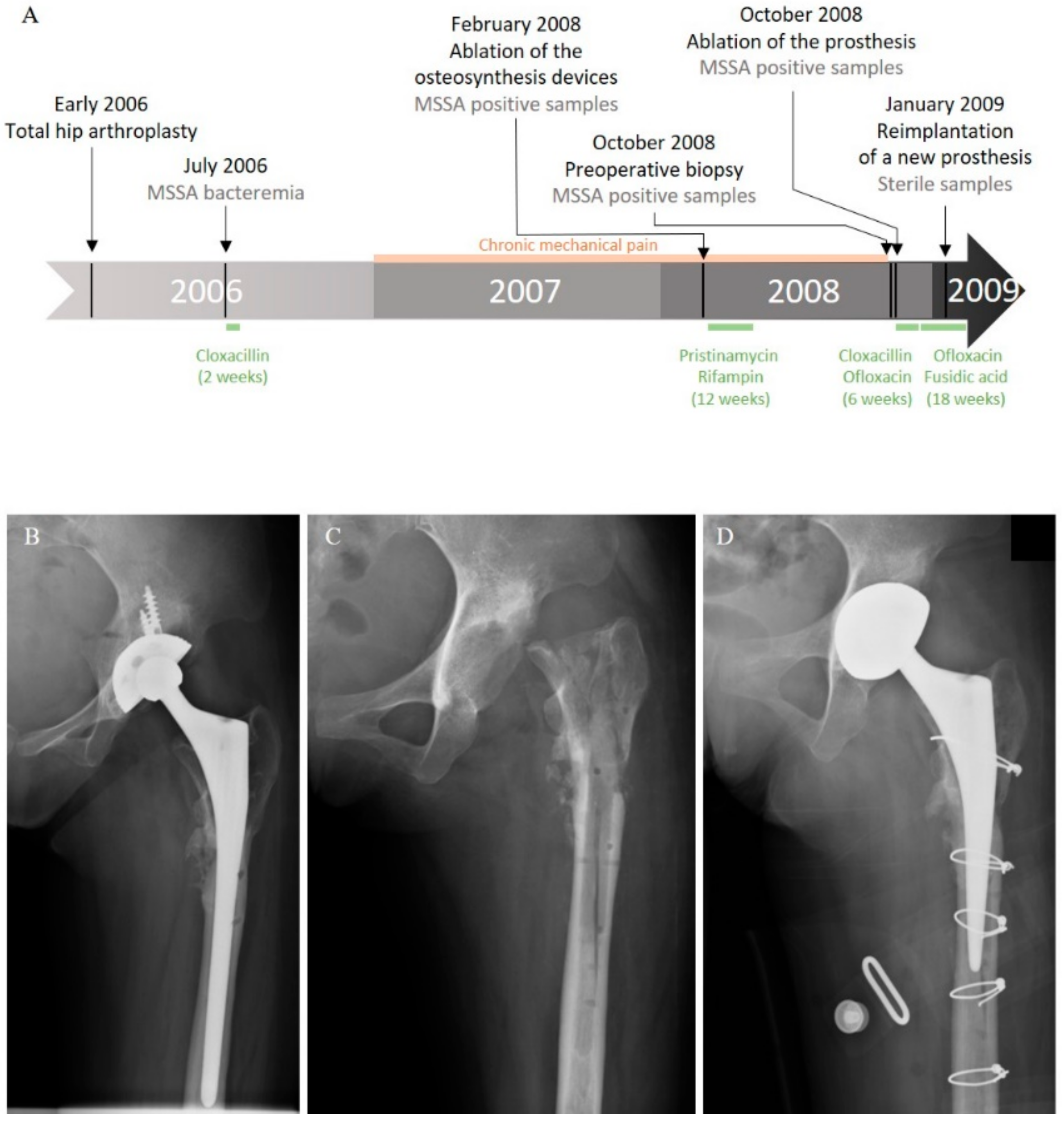 Ijms 21 06245 g001 Ijms 21 06245 g001