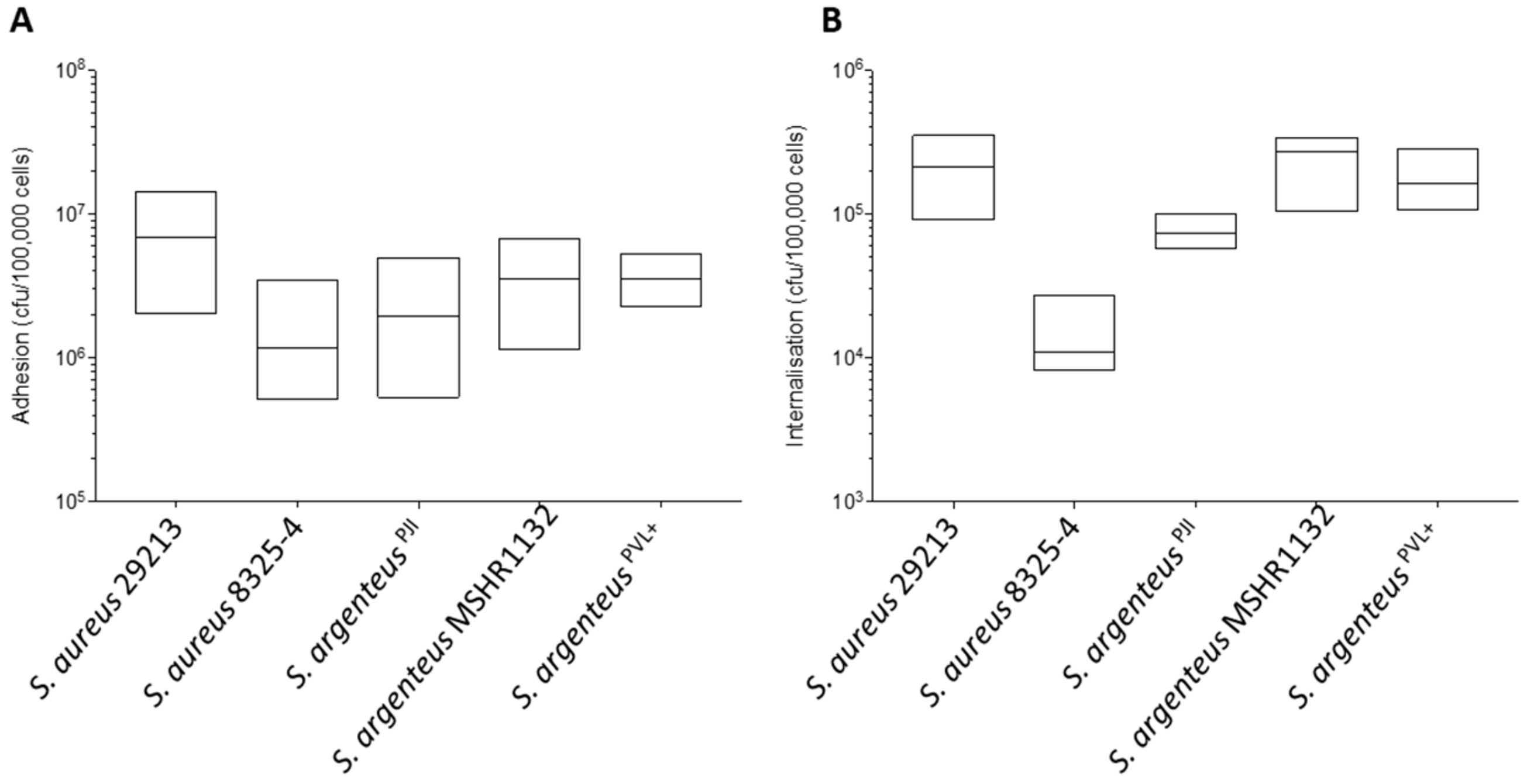 Ijms 21 06245 g002 Ijms 21 06245 g002
