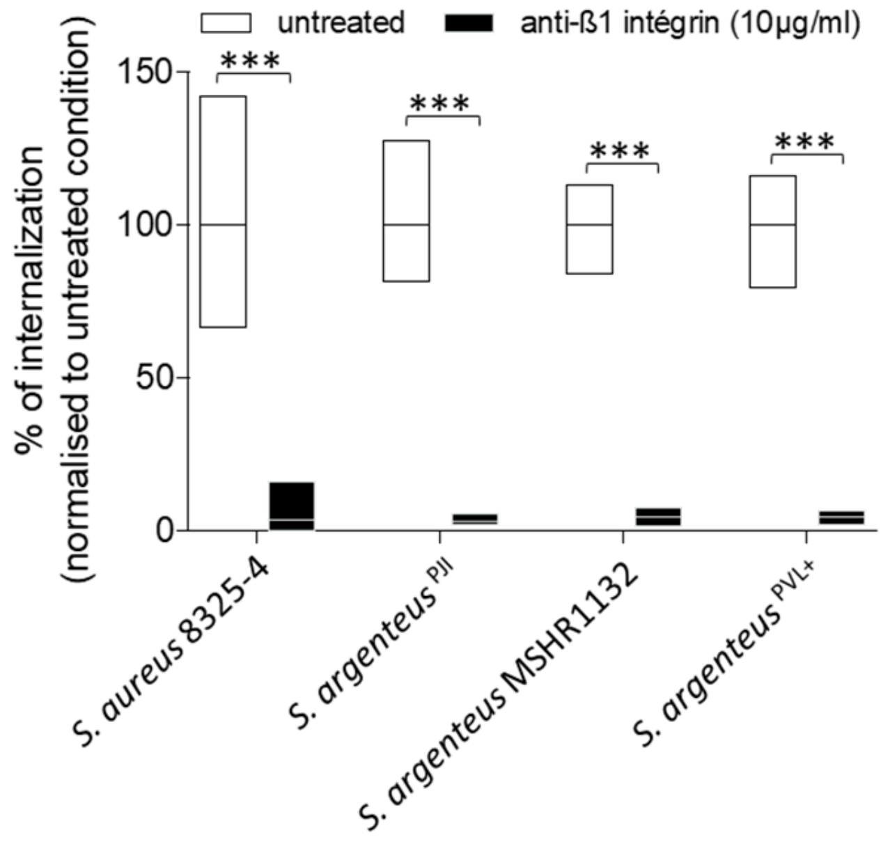 Ijms 21 06245 g003 Ijms 21 06245 g003