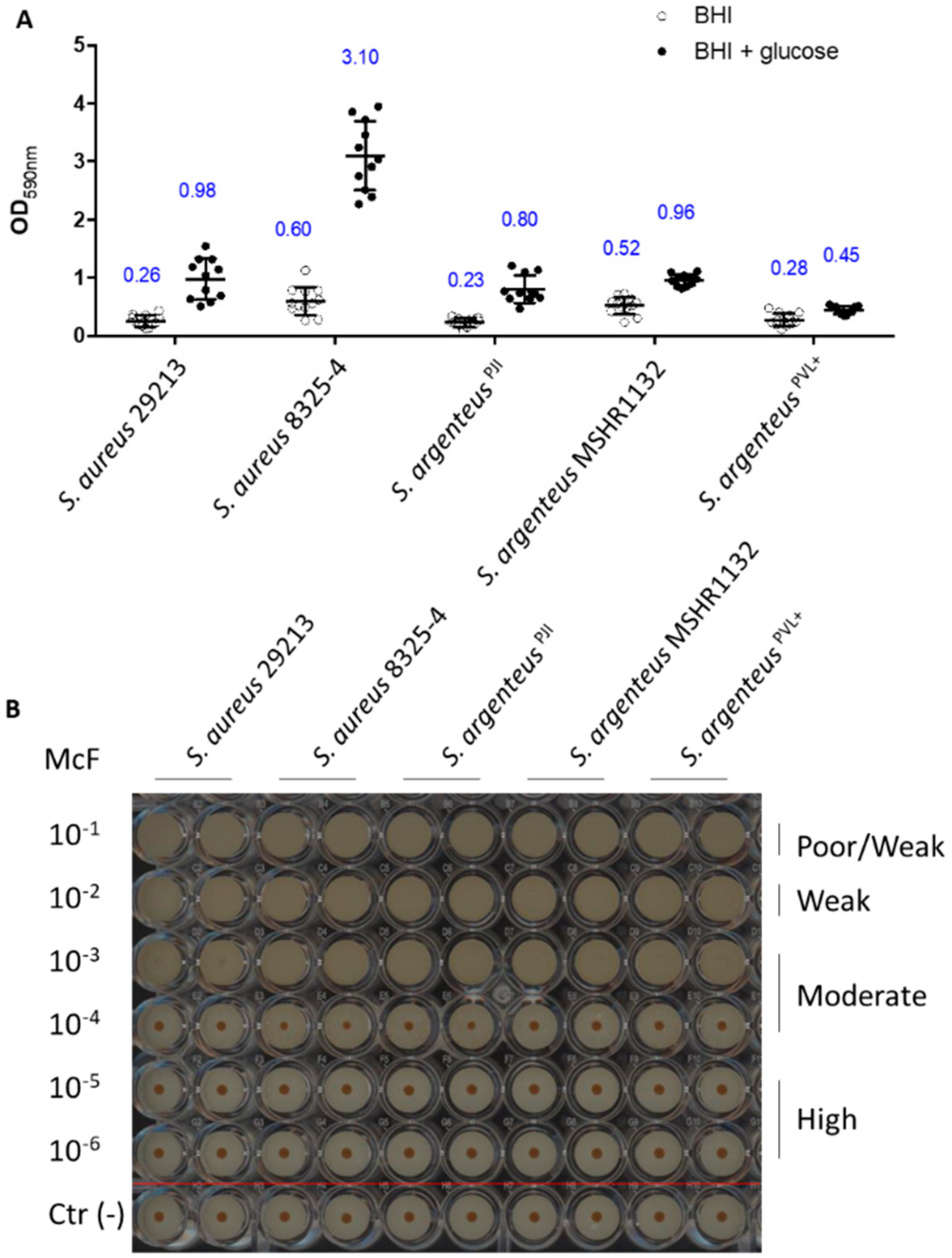 Ijms 21 06245 g006 Ijms 21 06245 g006