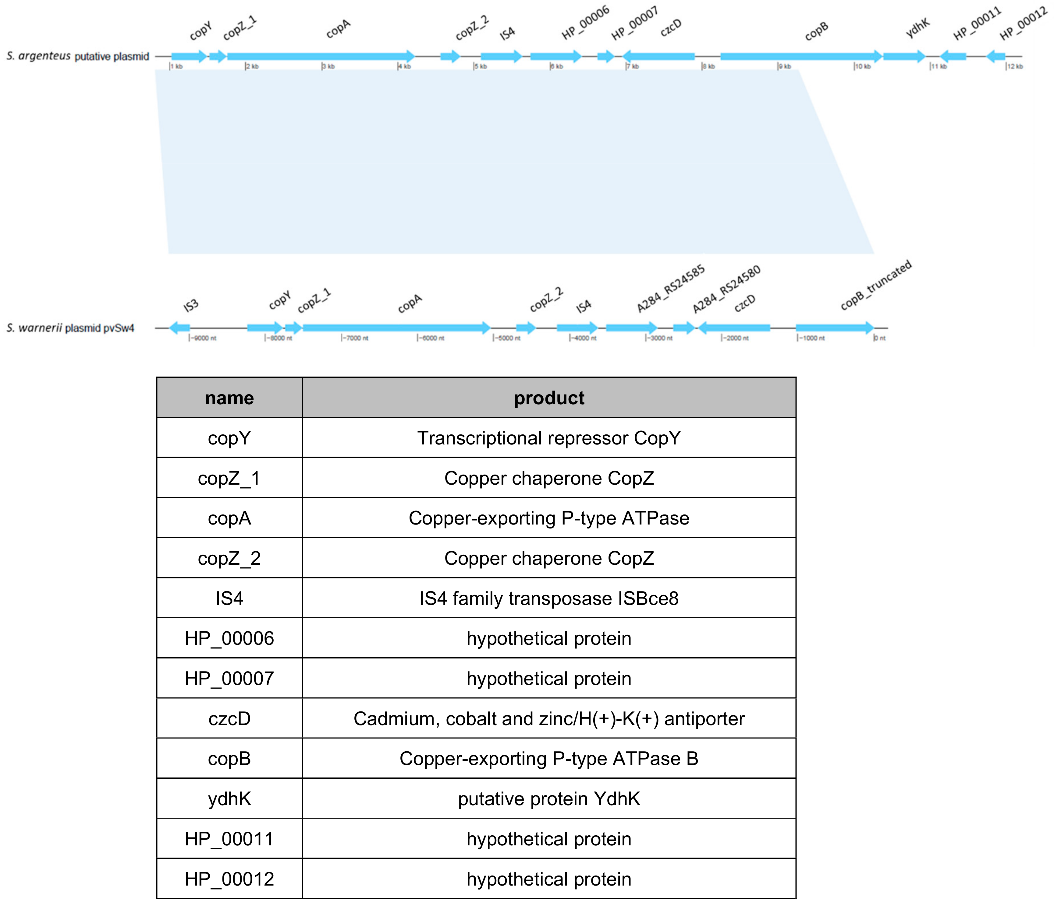 Ijms 21 06245 g007 Ijms 21 06245 g007