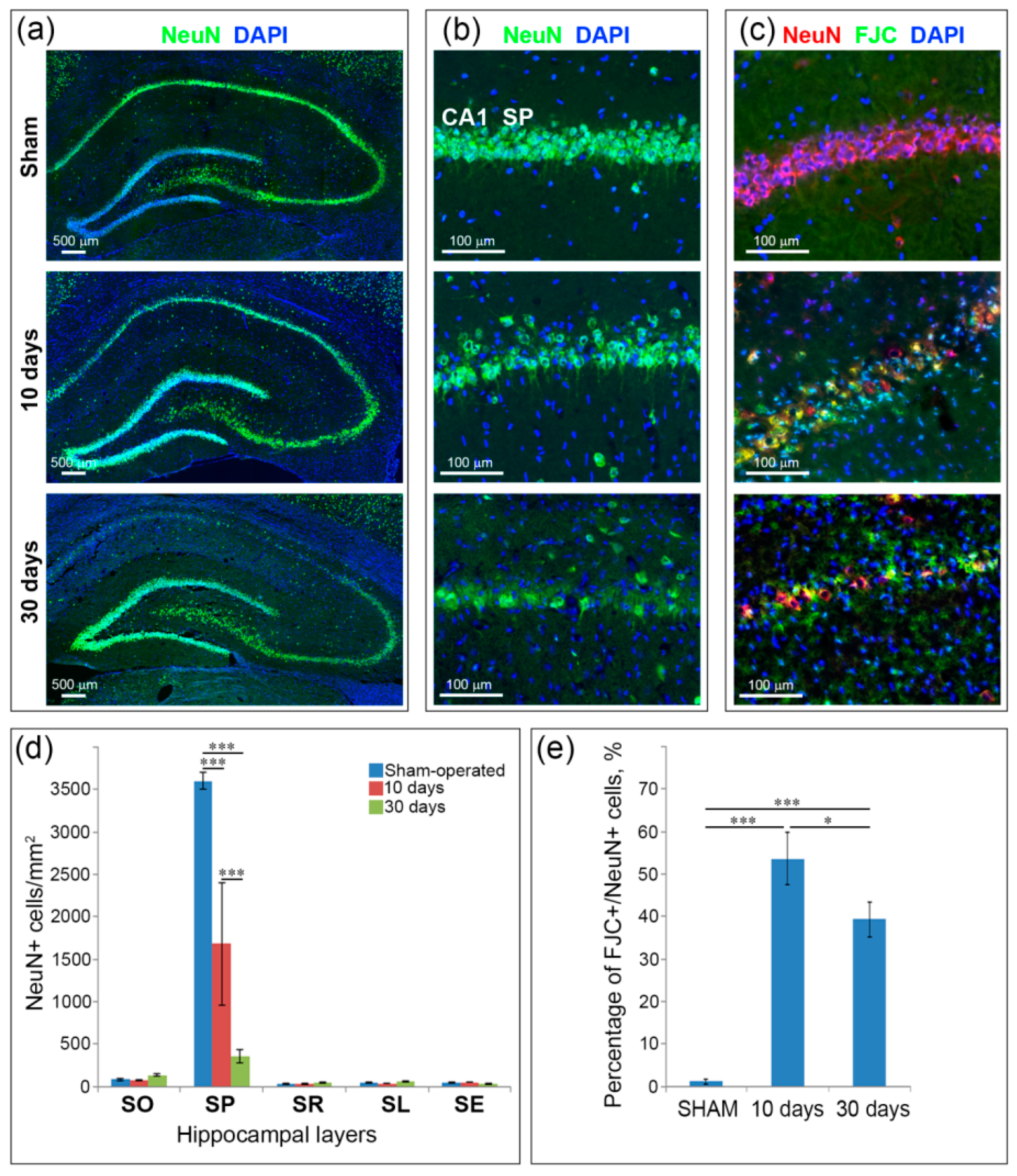 Ijms 21 06246 g001 Ijms 21 06246 g001