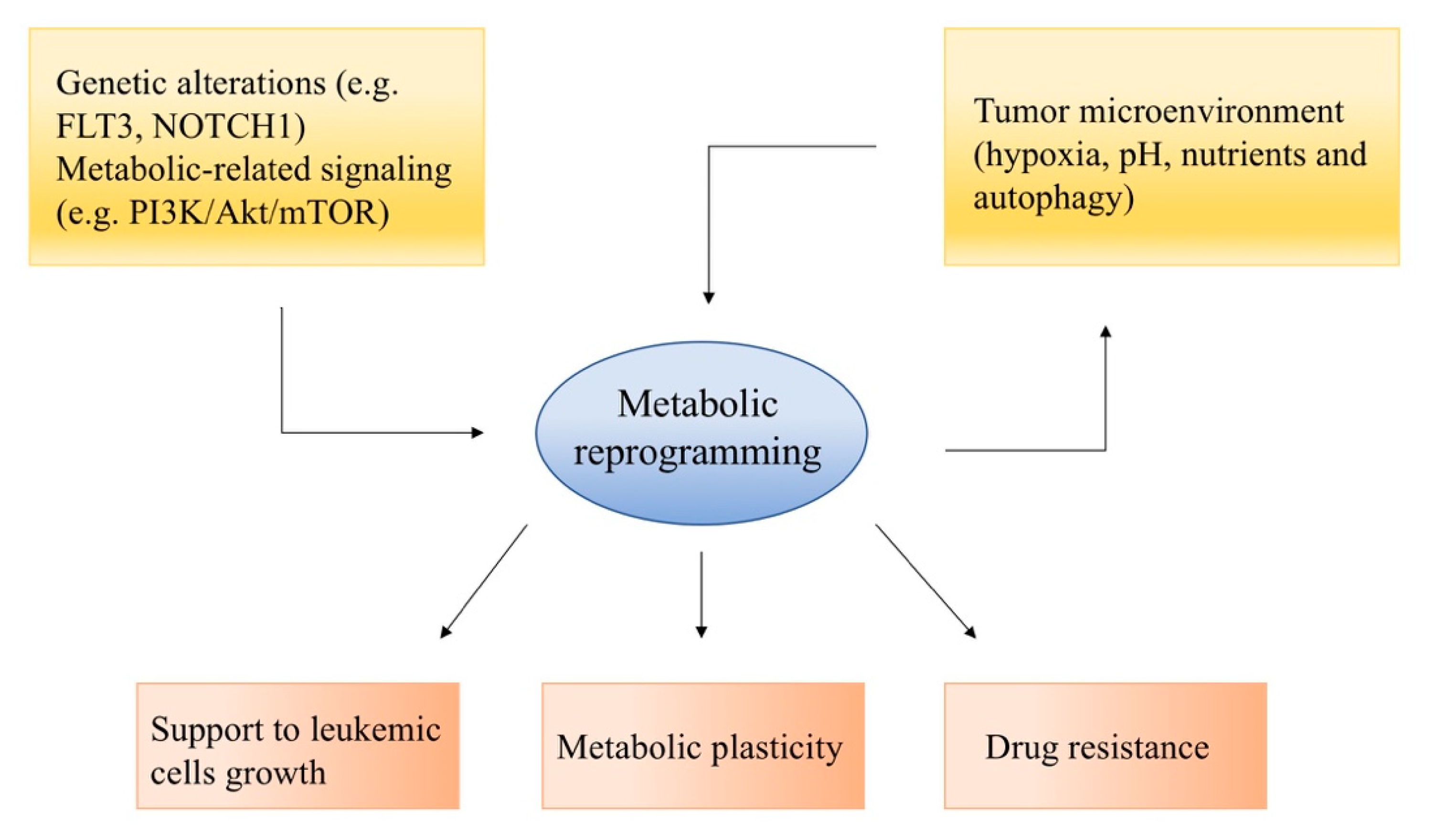 Ijms 21 06251 g001 Ijms 21 06251 g001