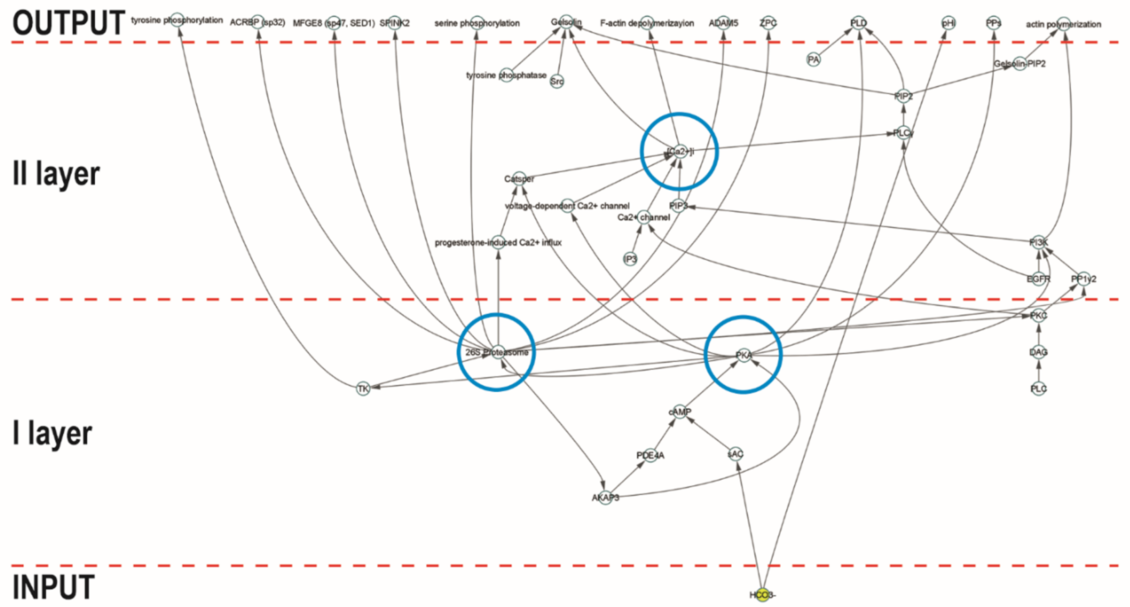 Ijms 21 06256 g001 Ijms 21 06256 g001