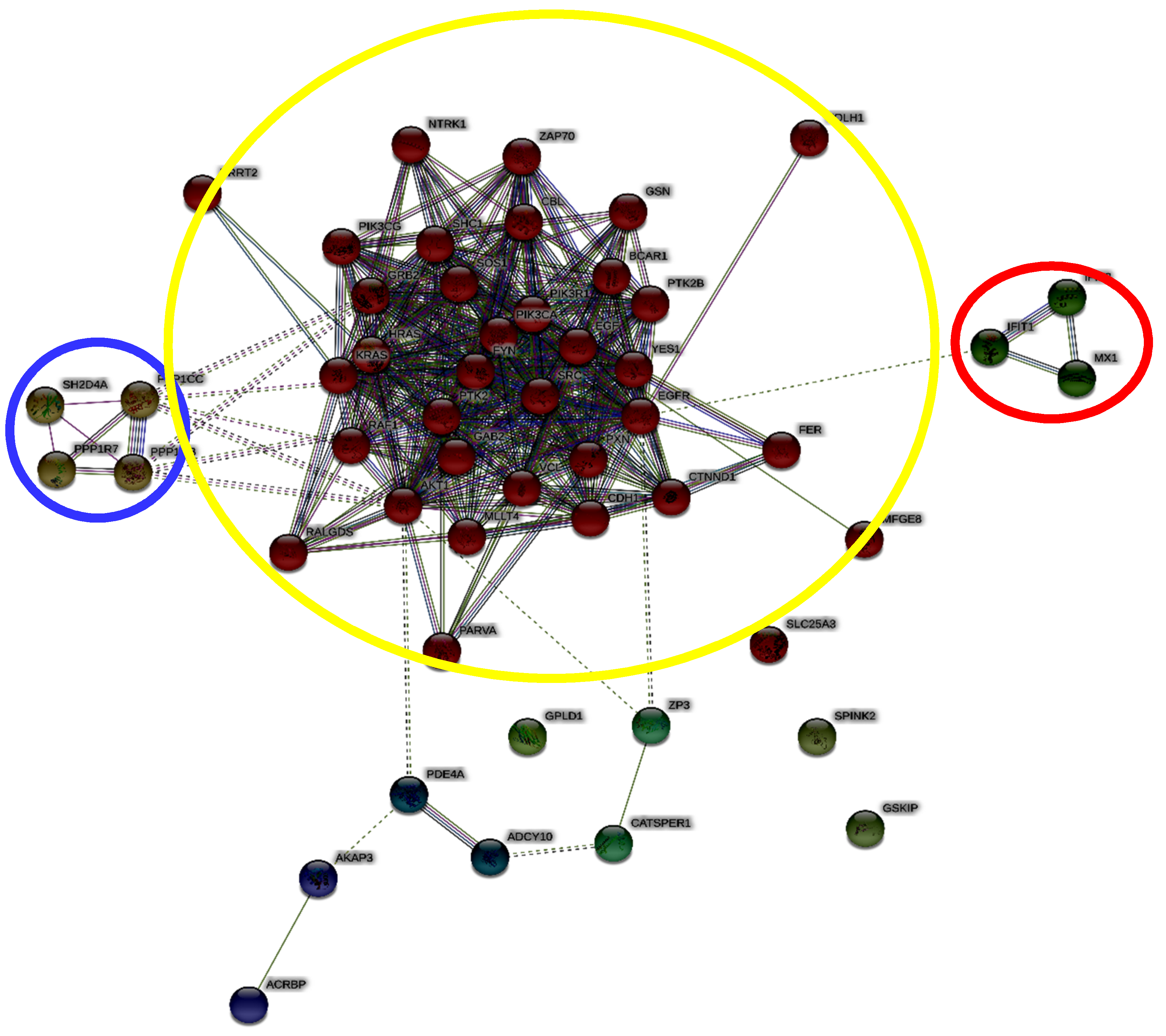 Ijms 21 06256 g002 Ijms 21 06256 g002