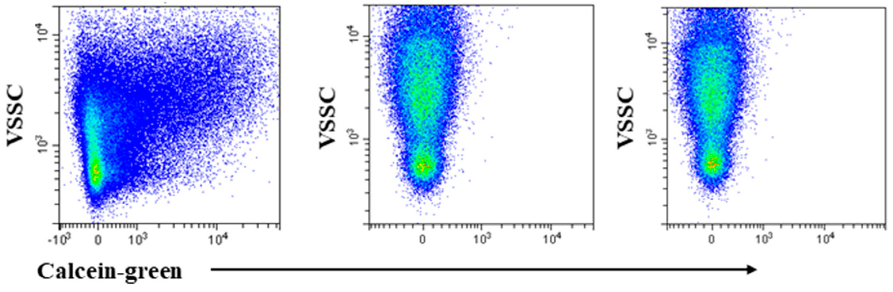 Ijms 21 06257 g001 Ijms 21 06257 g001