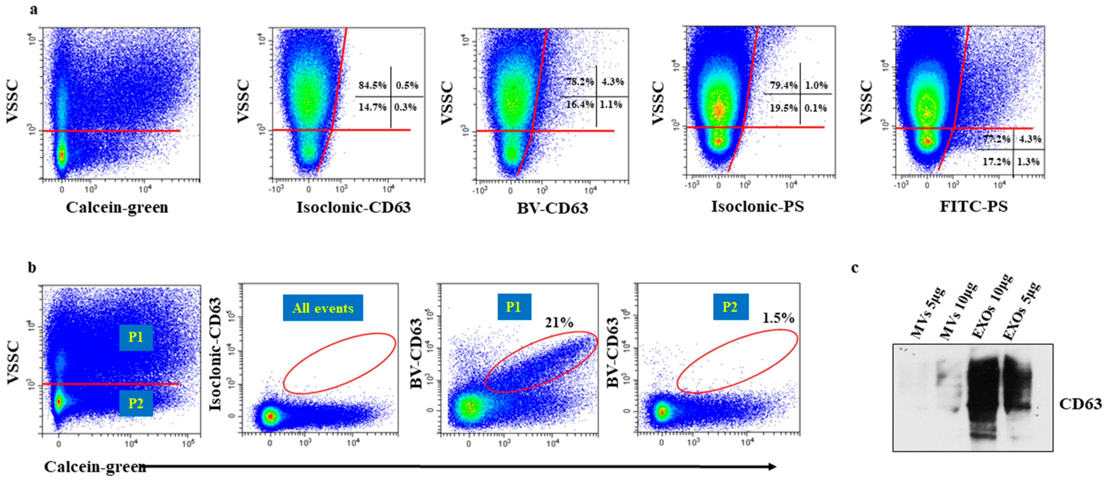 Ijms 21 06257 g002 Ijms 21 06257 g002