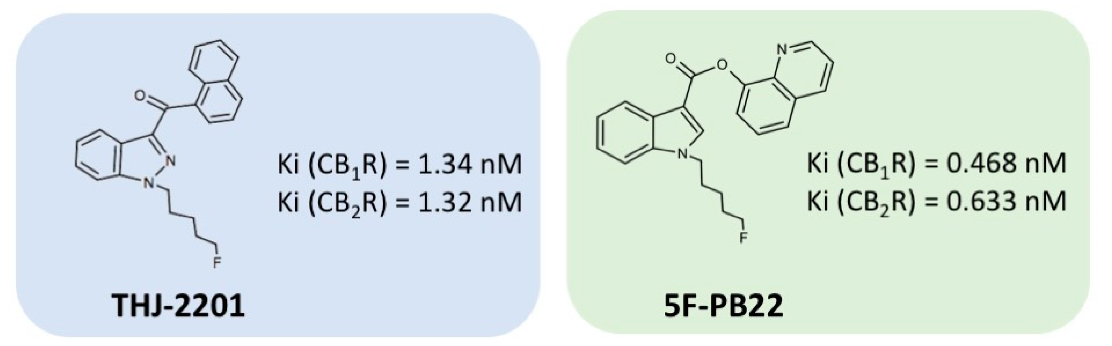 Ijms 21 06277 g008 Ijms 21 06277 g008