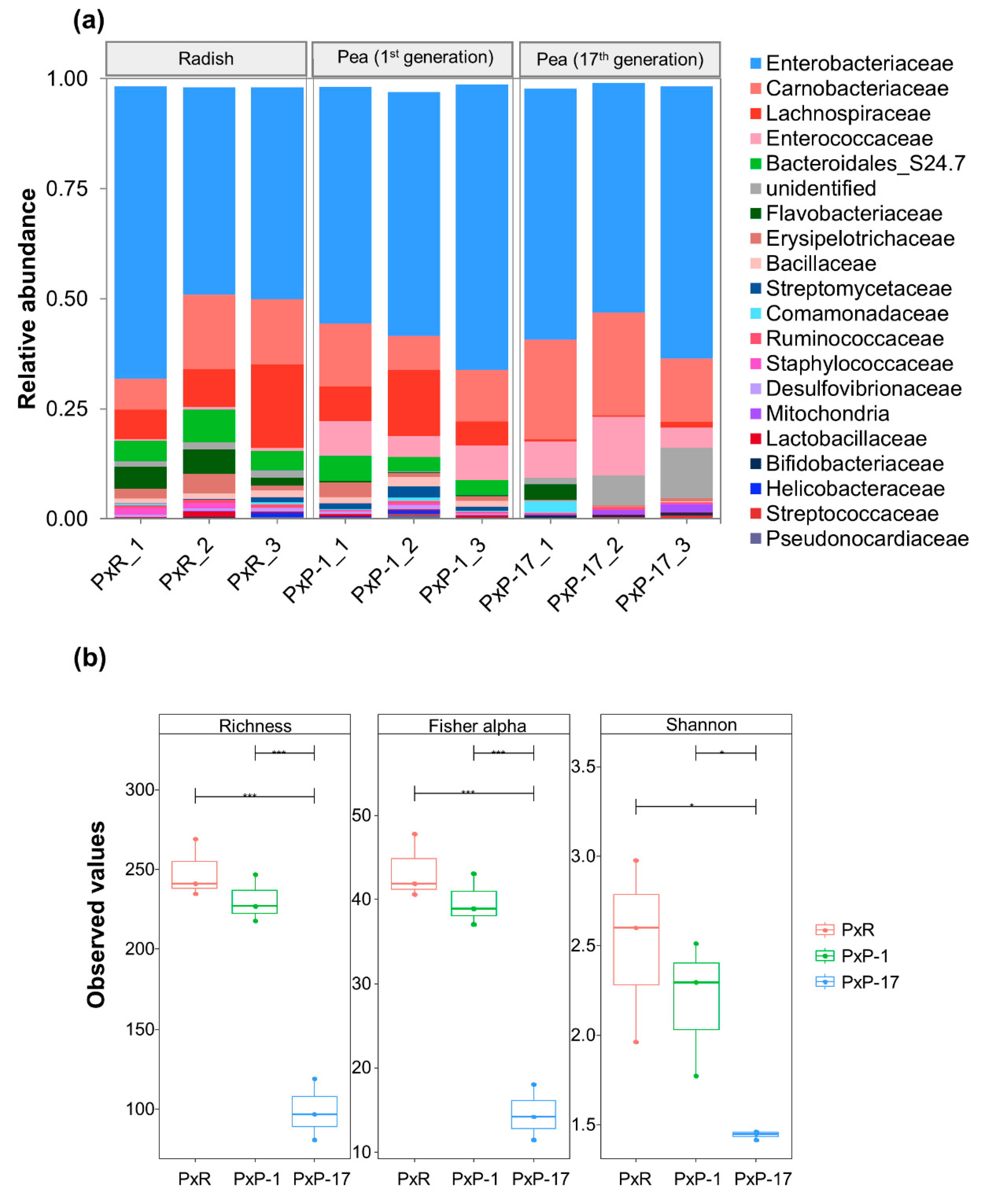 Ijms 21 06283 g001 Ijms 21 06283 g001