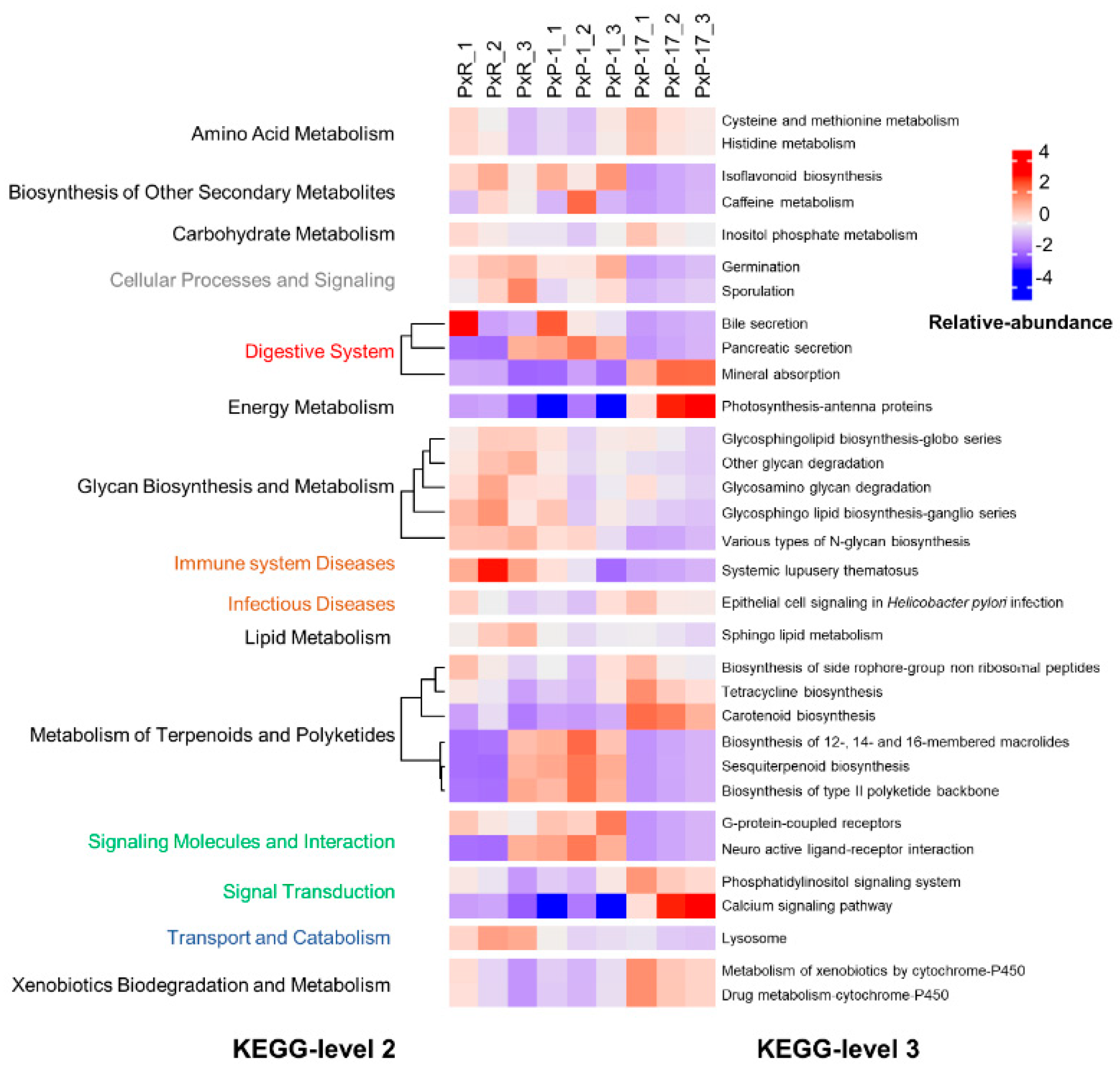 Ijms 21 06283 g004 Ijms 21 06283 g004