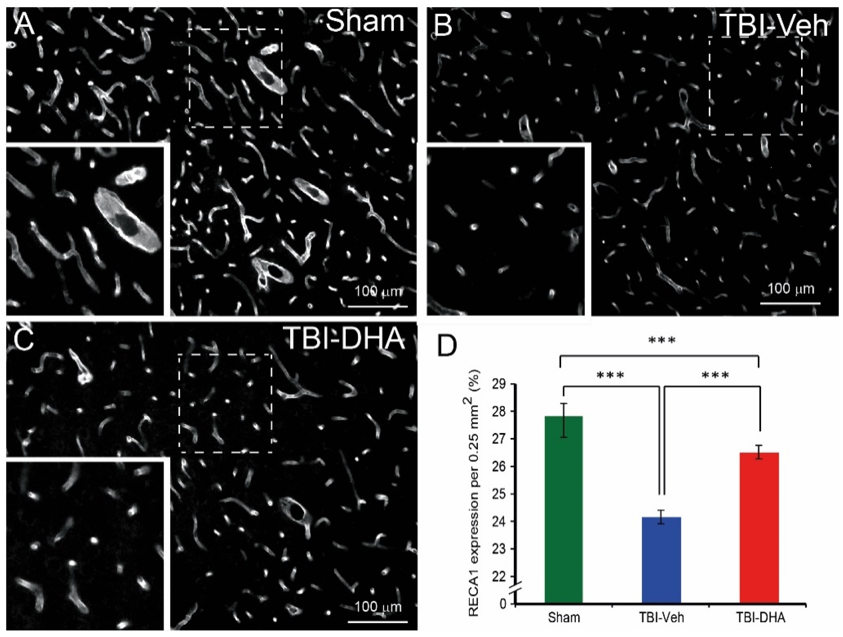Ijms 21 06291 g004 Ijms 21 06291 g004