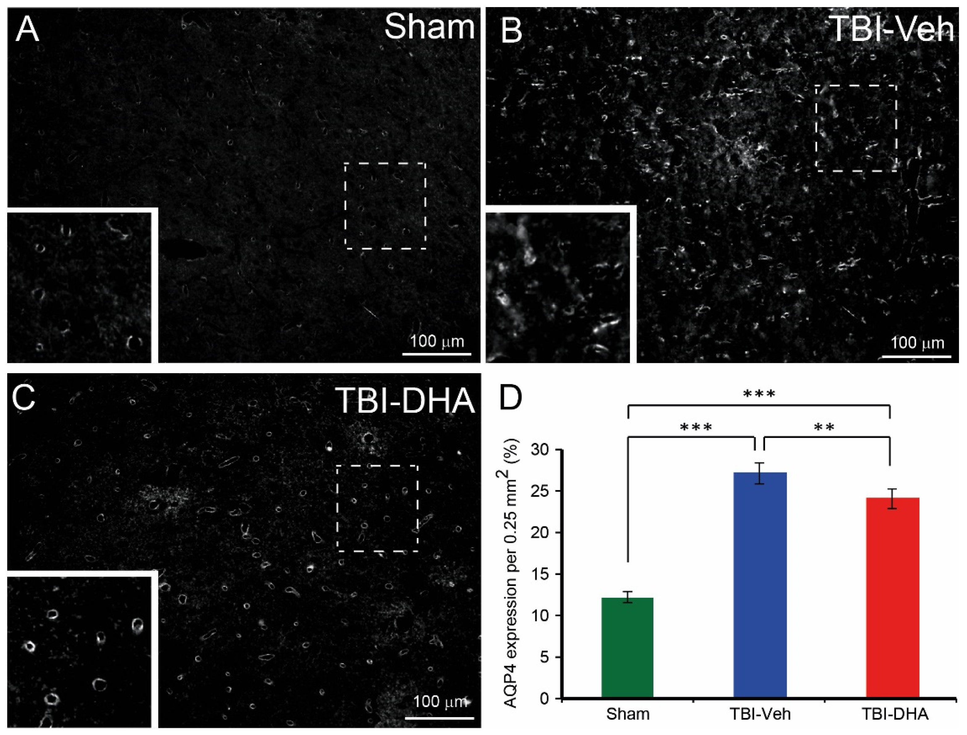 Ijms 21 06291 g005 Ijms 21 06291 g005