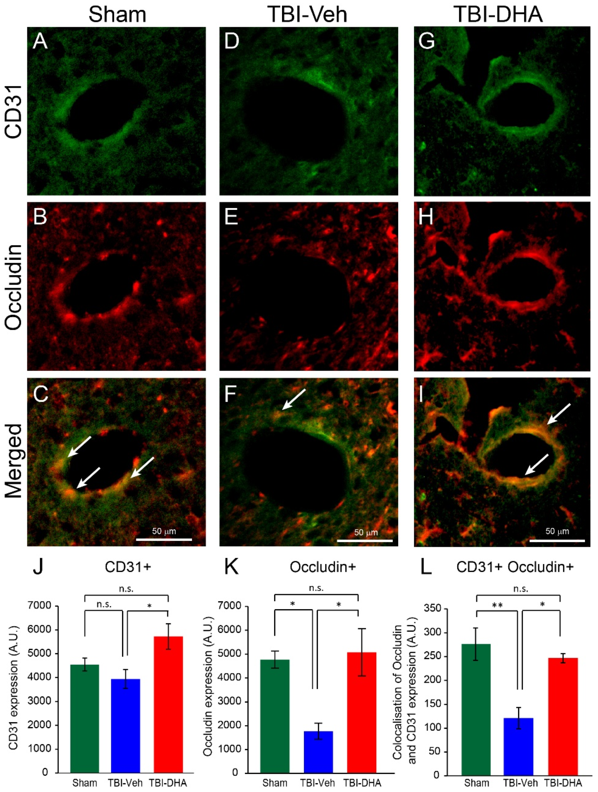 Ijms 21 06291 g007 Ijms 21 06291 g007