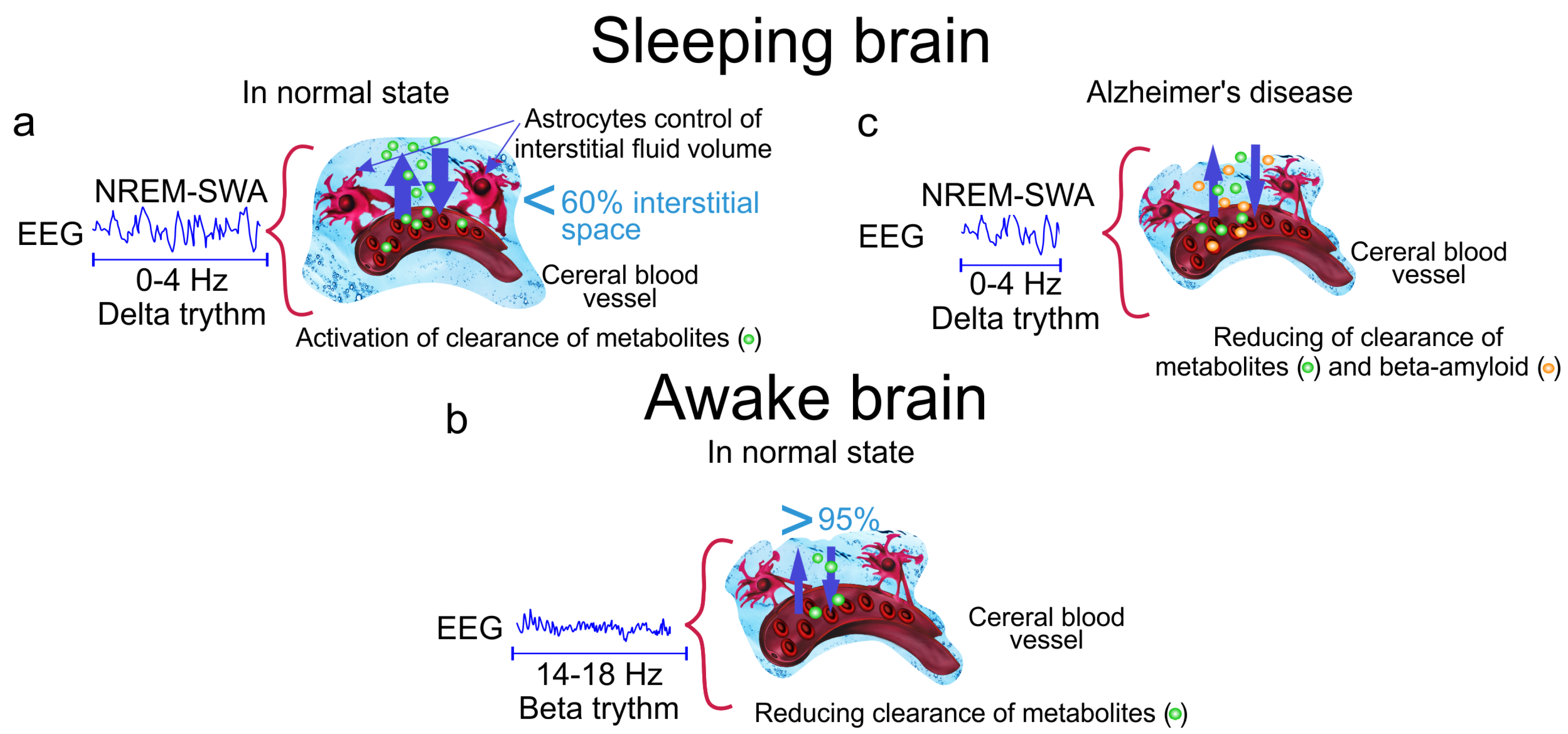 Ijms 21 06293 g001 Ijms 21 06293 g001