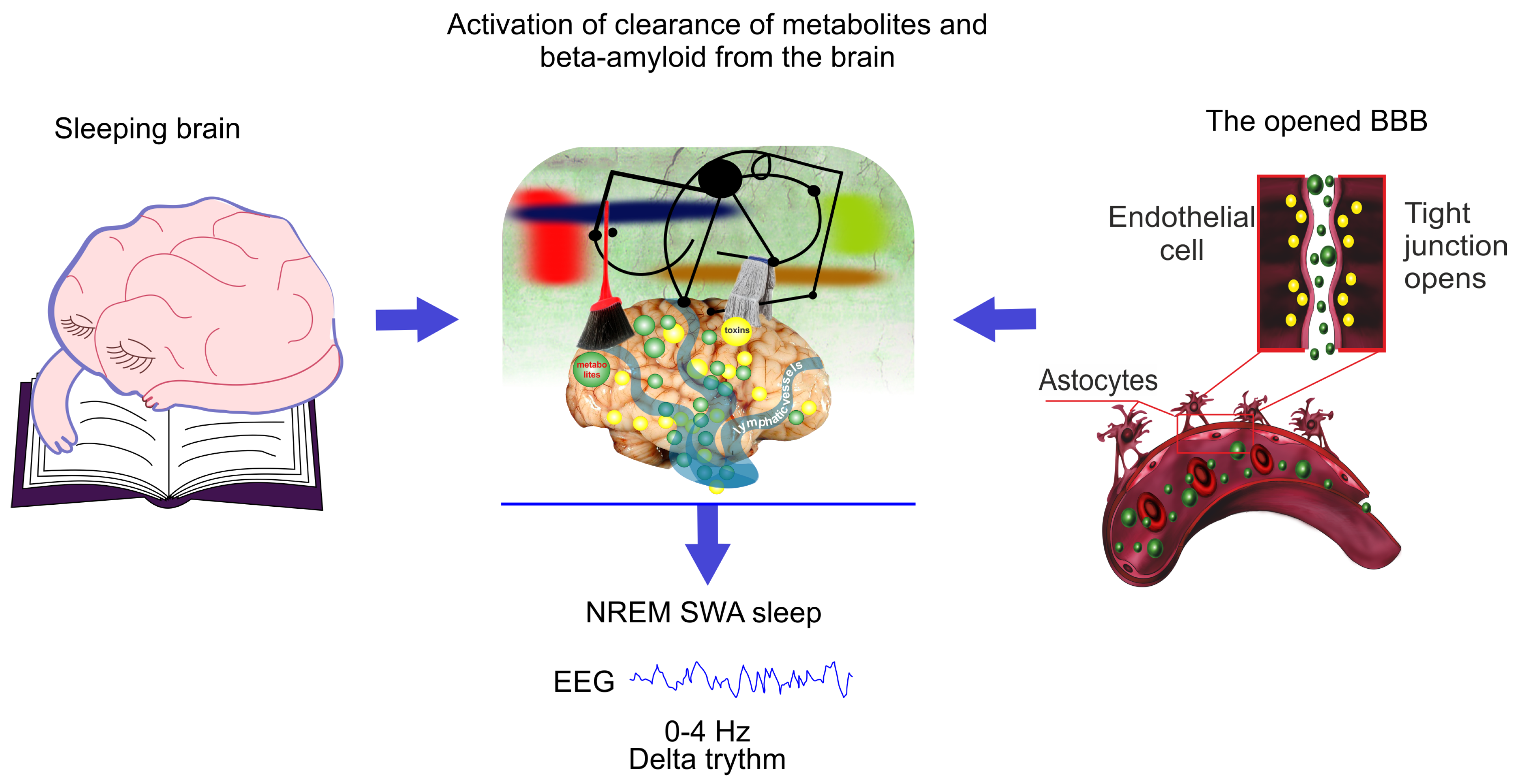 Ijms 21 06293 g002 Ijms 21 06293 g002