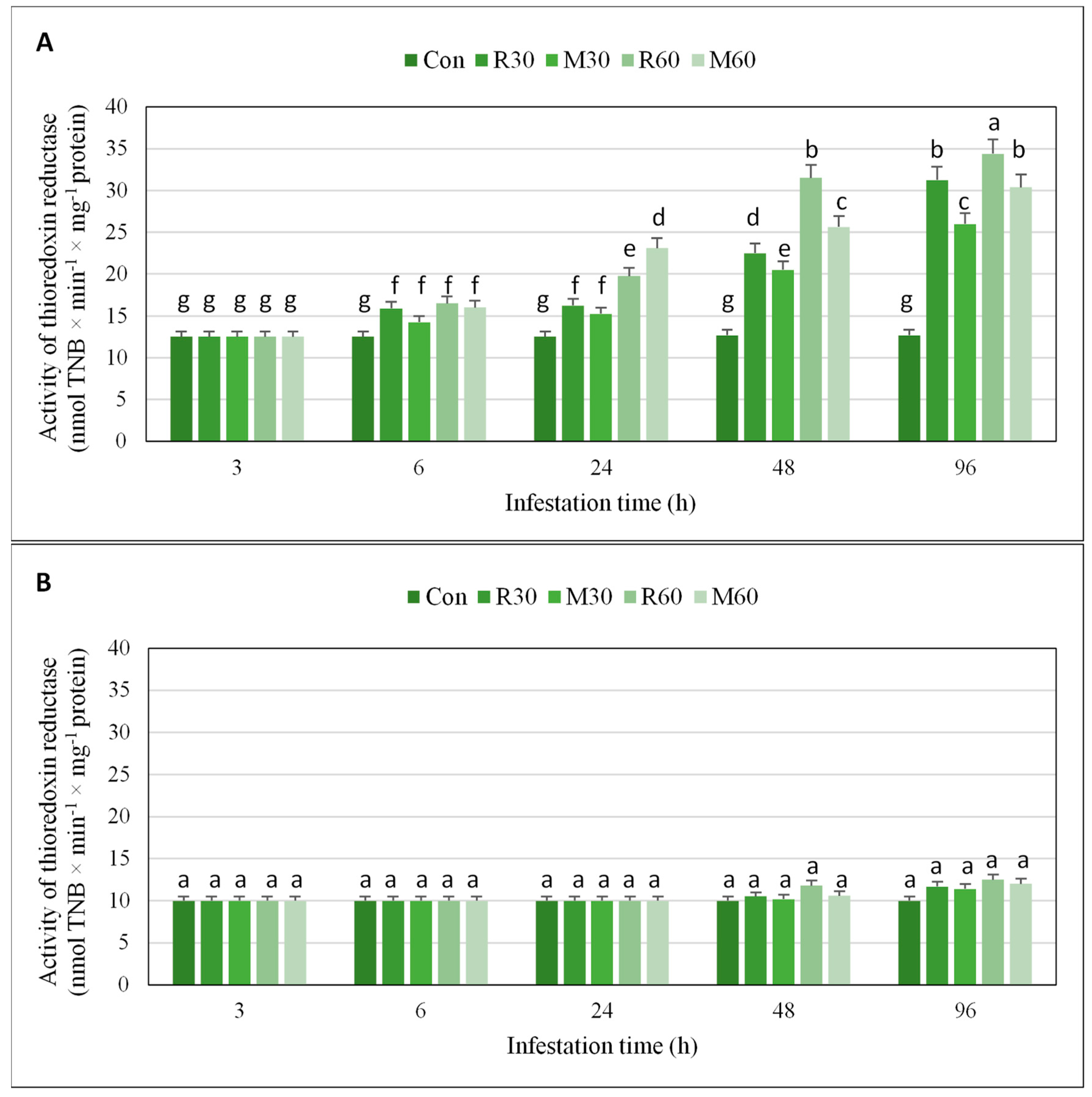Ijms 21 06296 g004 Ijms 21 06296 g004