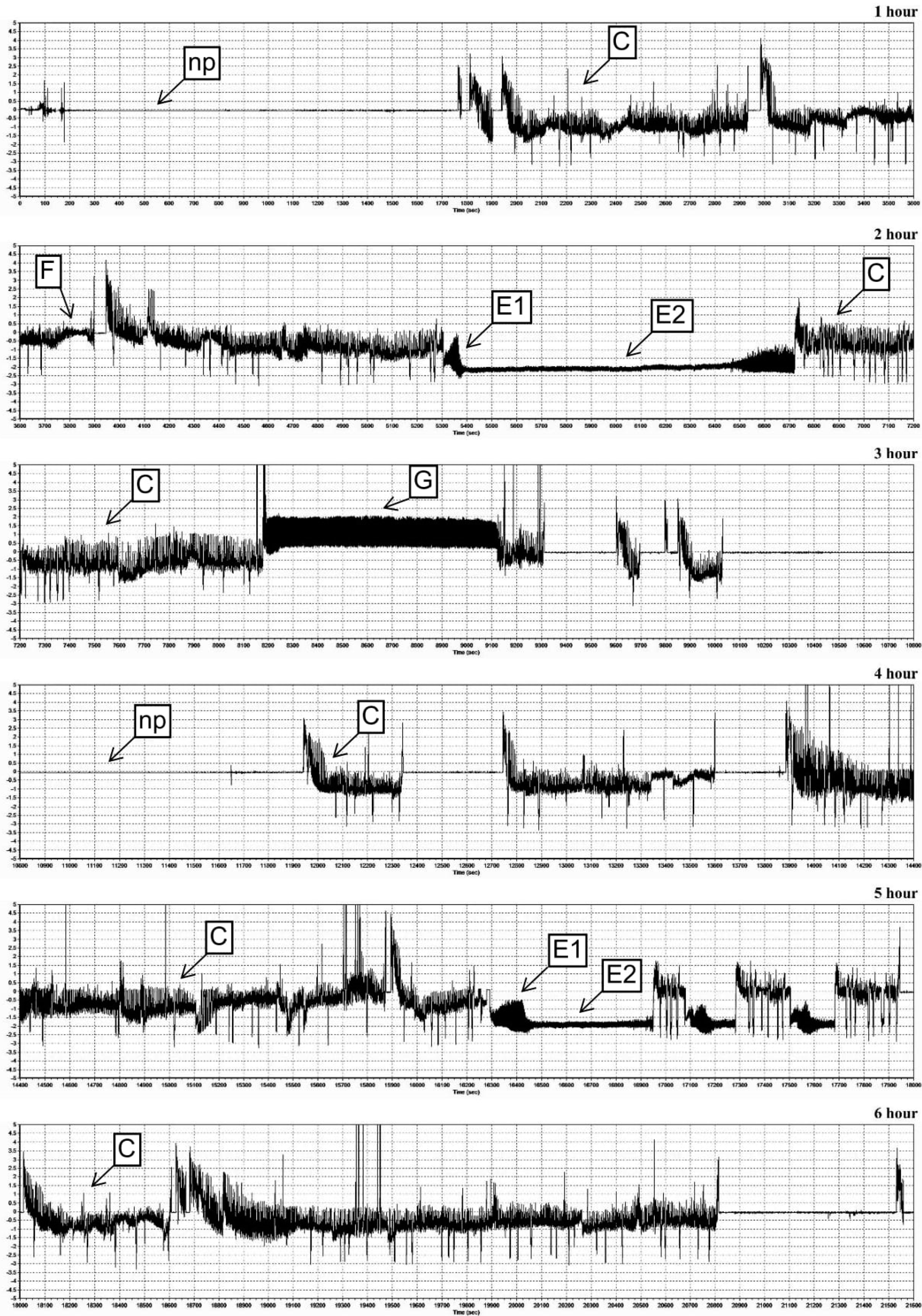 Ijms 21 06296 g005 Ijms 21 06296 g005