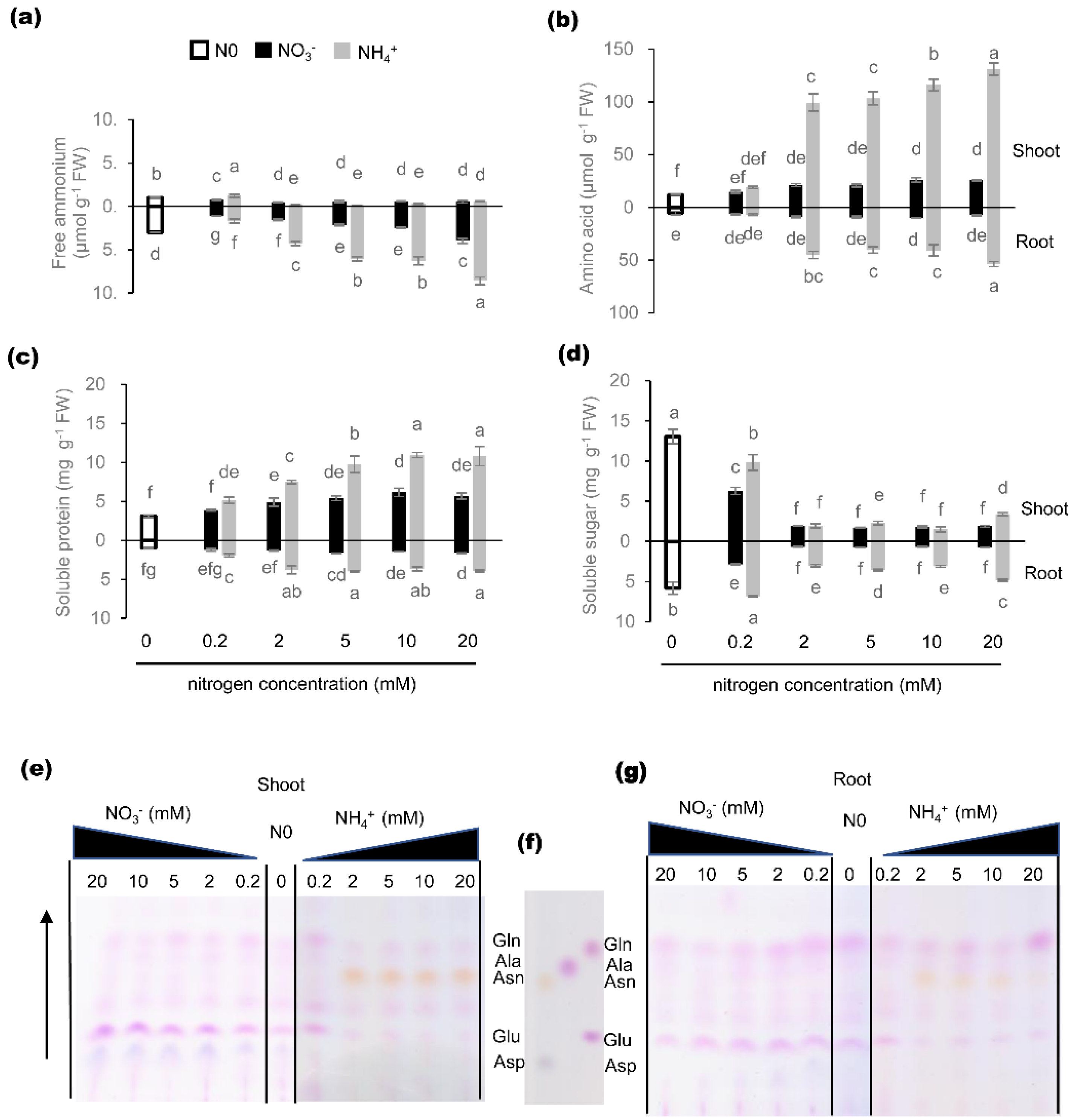 Ijms 21 06299 g005 Ijms 21 06299 g005