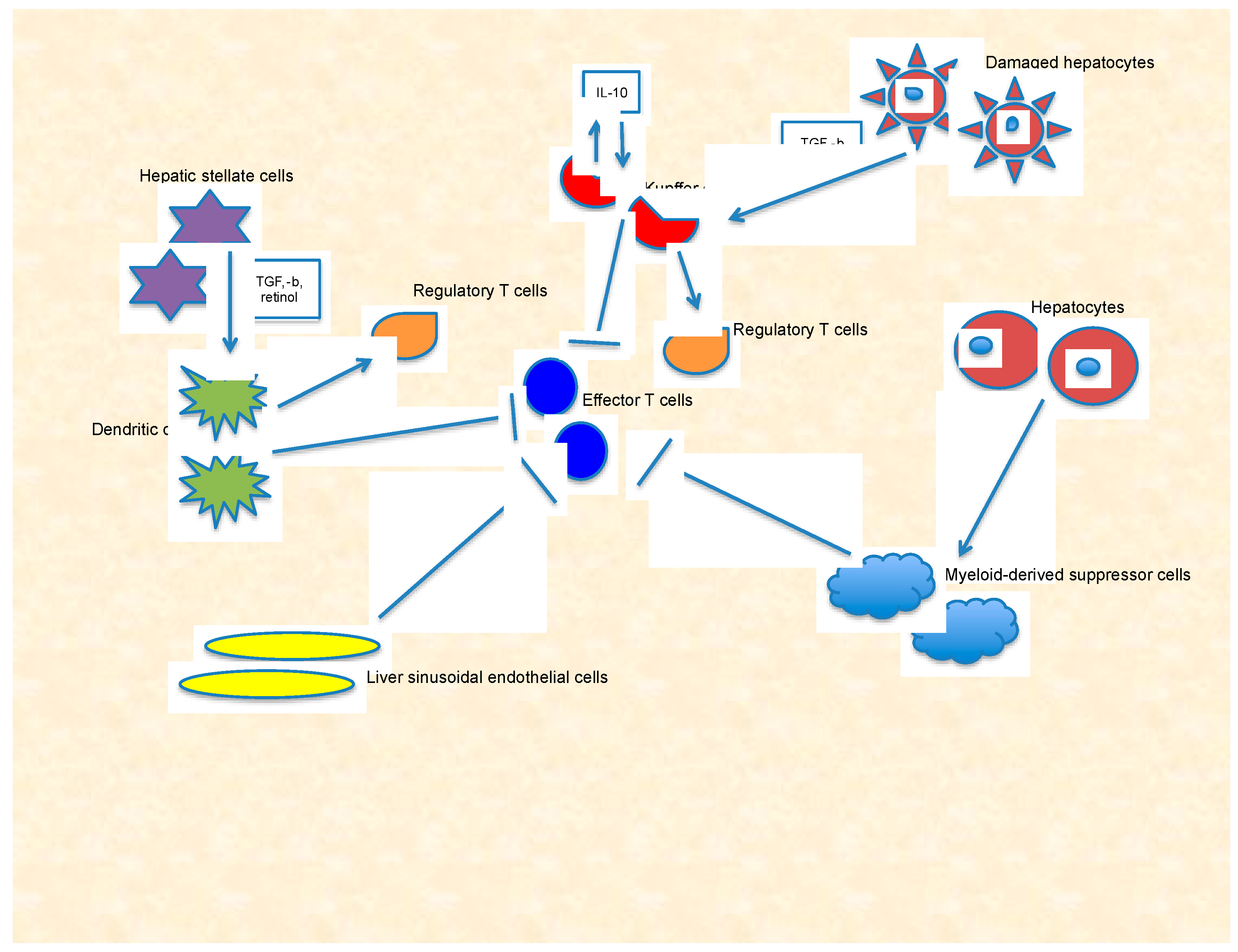 Ijms 21 06302 g001 Ijms 21 06302 g001