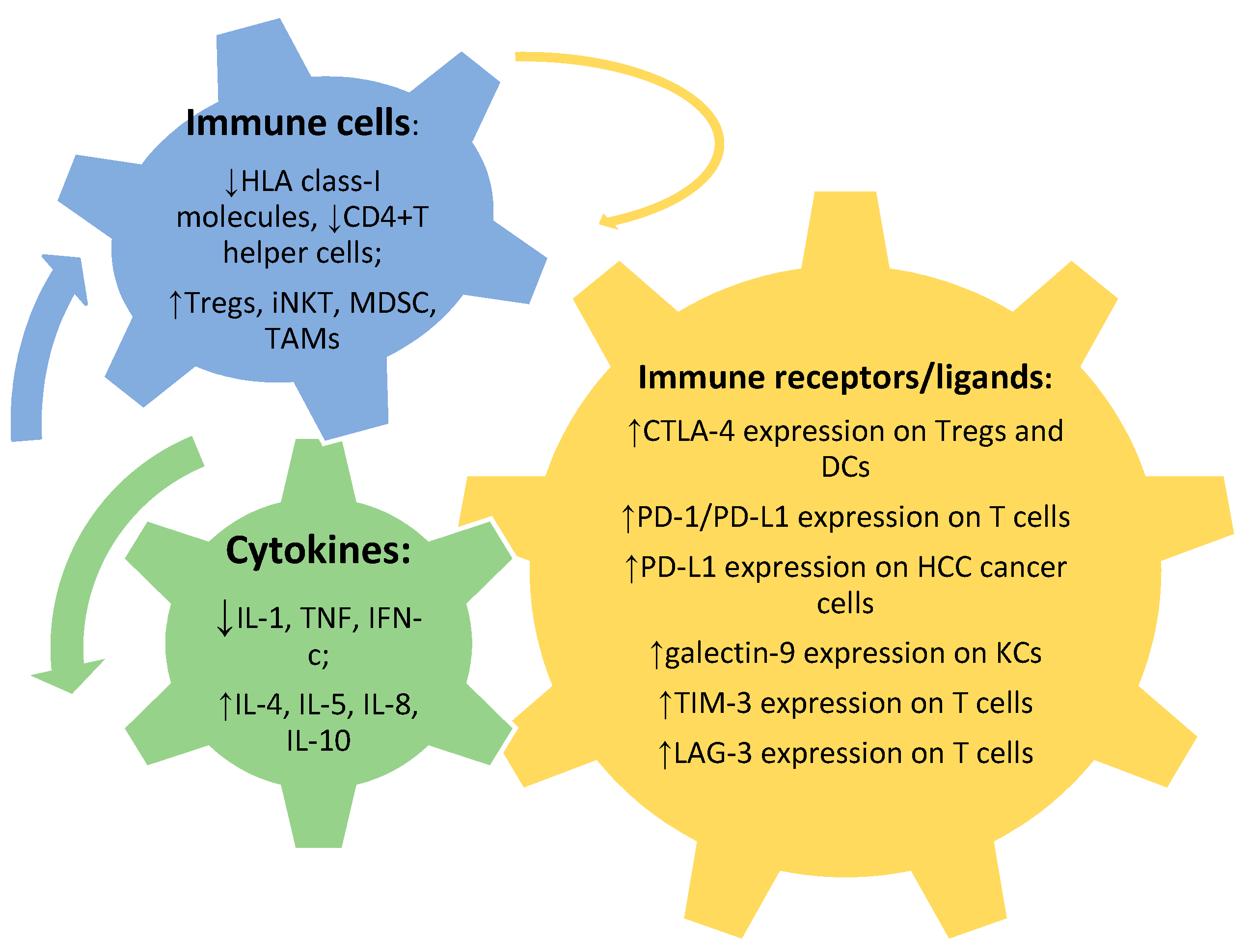 Ijms 21 06302 g002 Ijms 21 06302 g002