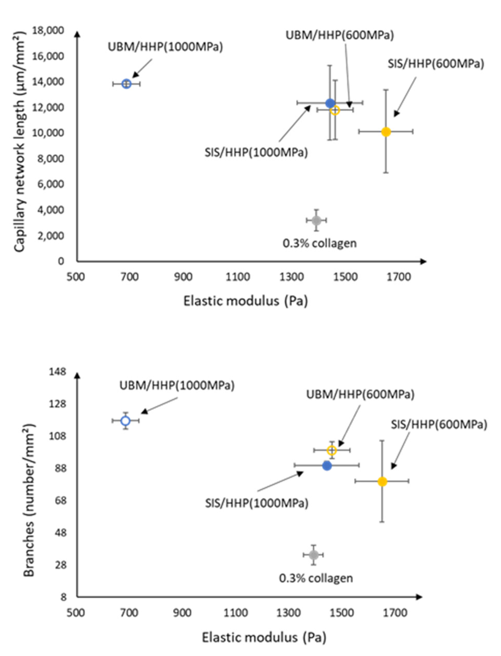 Ijms 21 06304 g010 Ijms 21 06304 g010