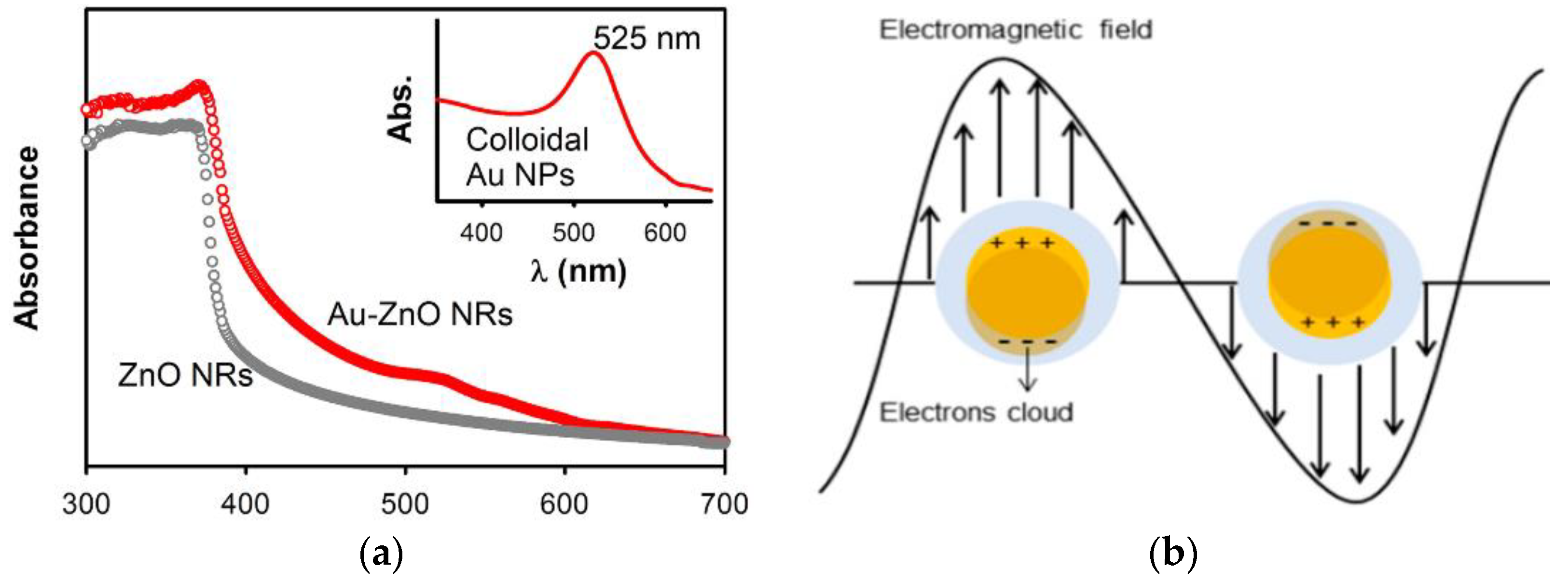 Ijms 21 06305 g006 Ijms 21 06305 g006