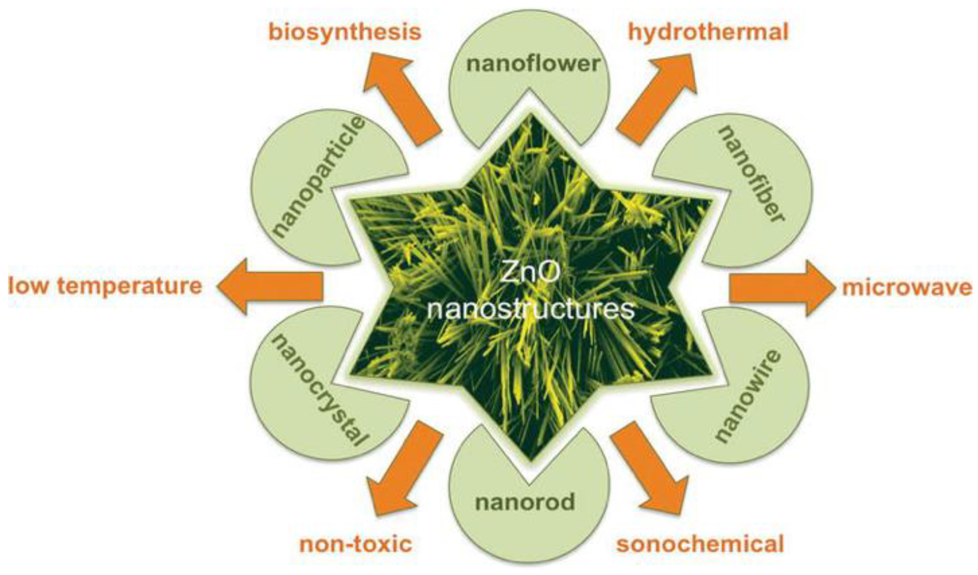 Ijms 21 06305 g008 Ijms 21 06305 g008