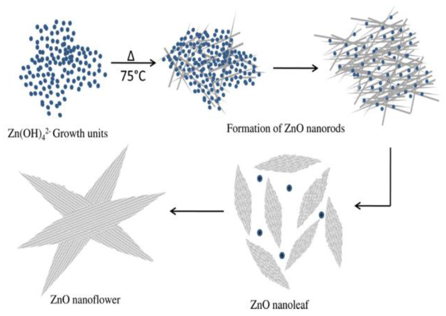 Ijms 21 06305 g009 Ijms 21 06305 g009