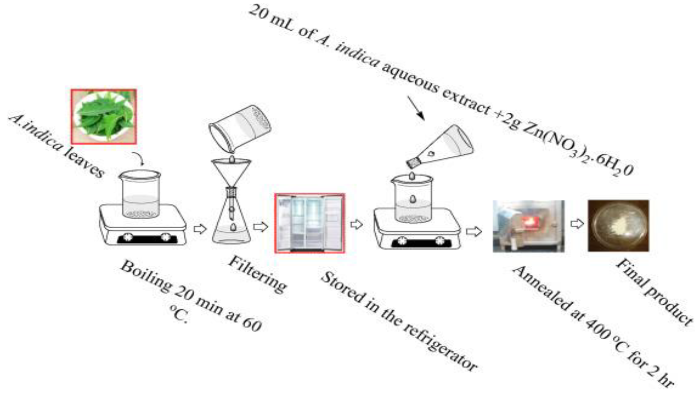 Ijms 21 06305 g012 Ijms 21 06305 g012