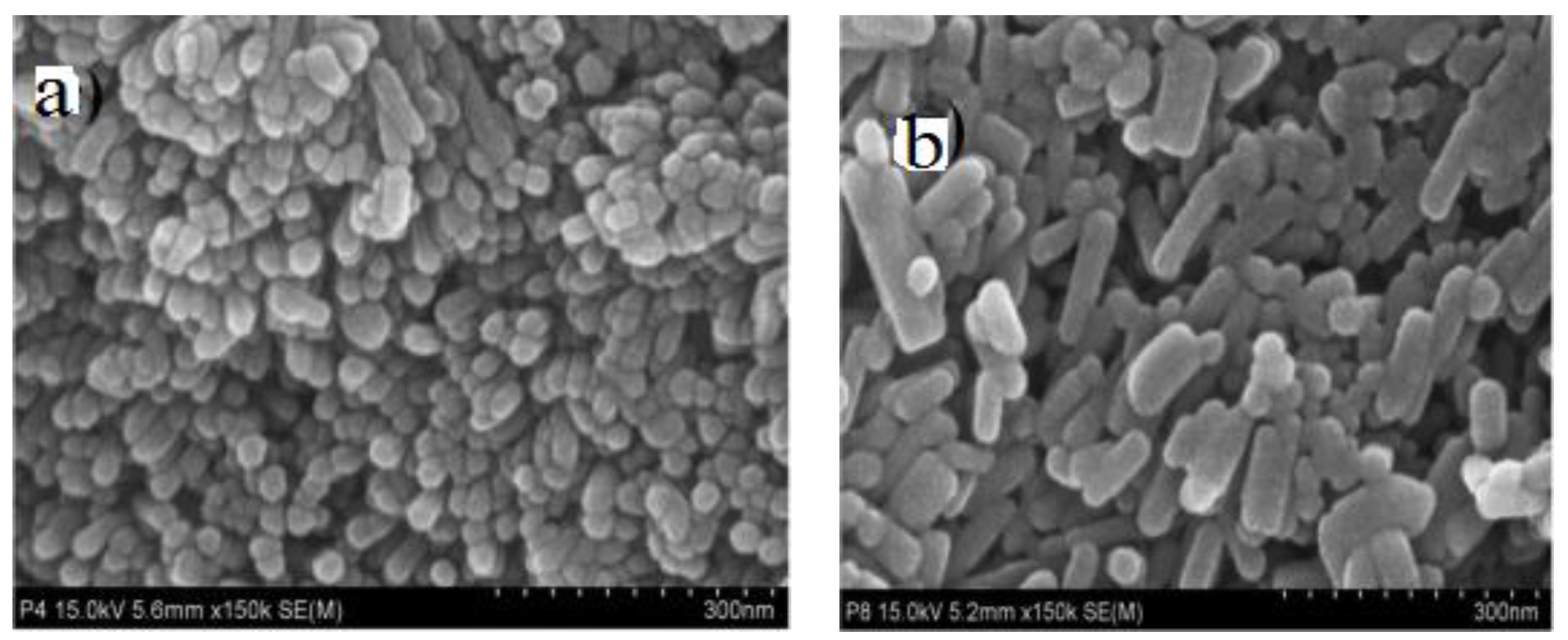 Ijms 21 06305 g014 Ijms 21 06305 g014