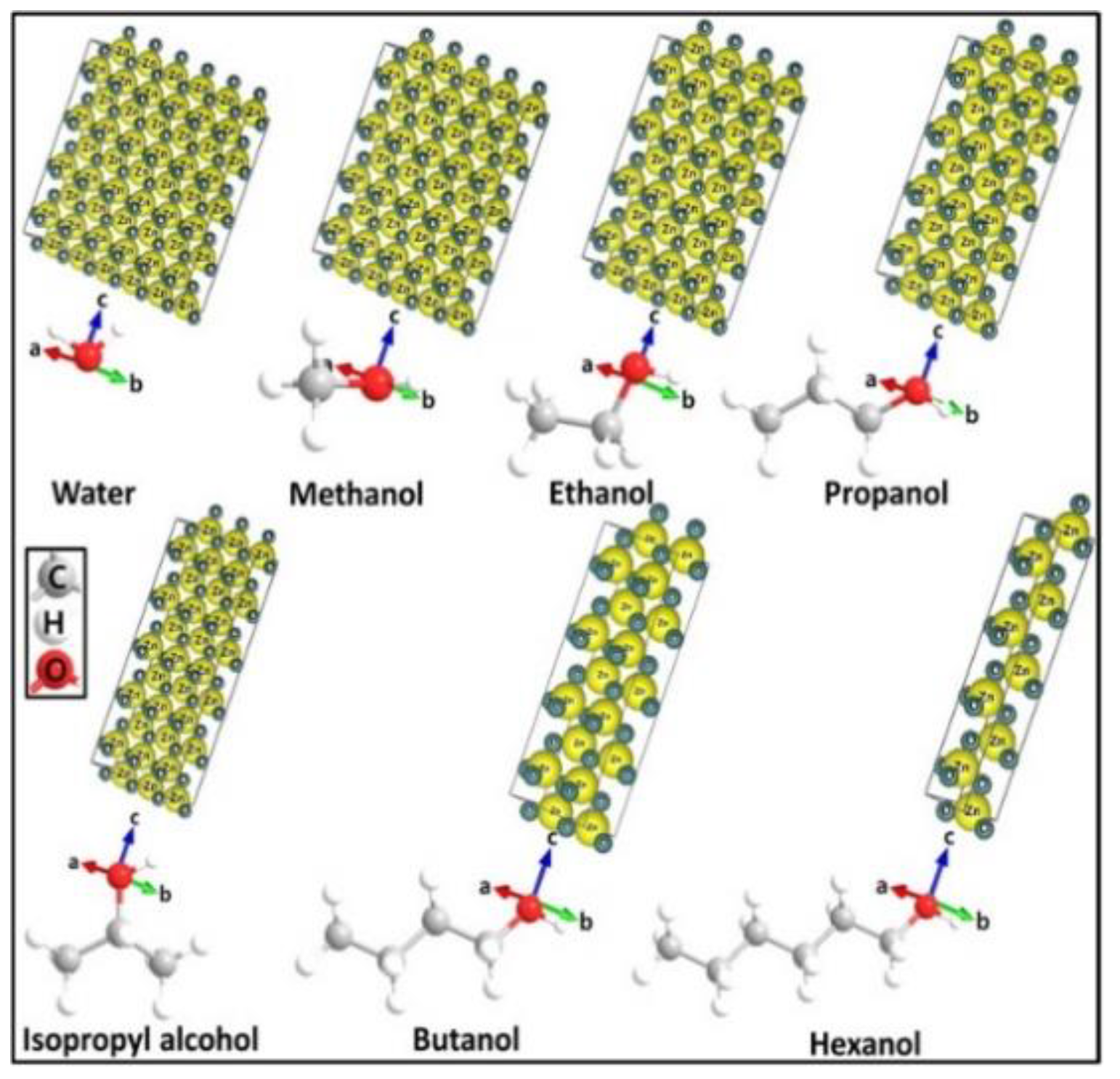 Ijms 21 06305 g015 Ijms 21 06305 g015