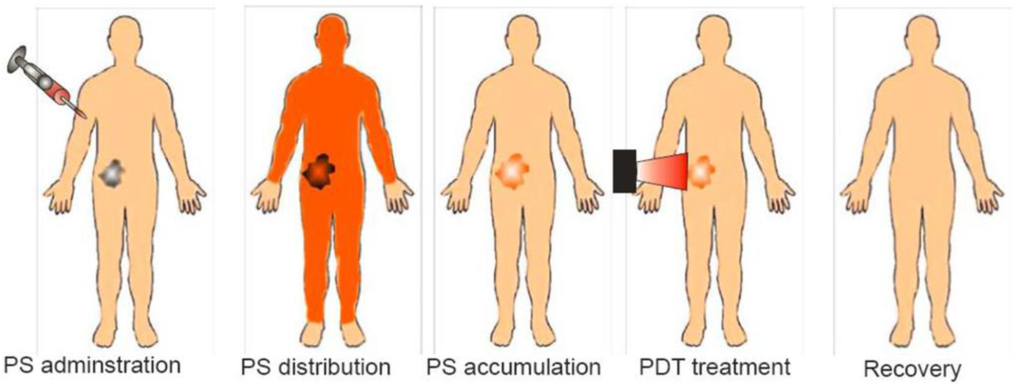 Ijms 21 06305 g030 Ijms 21 06305 g030