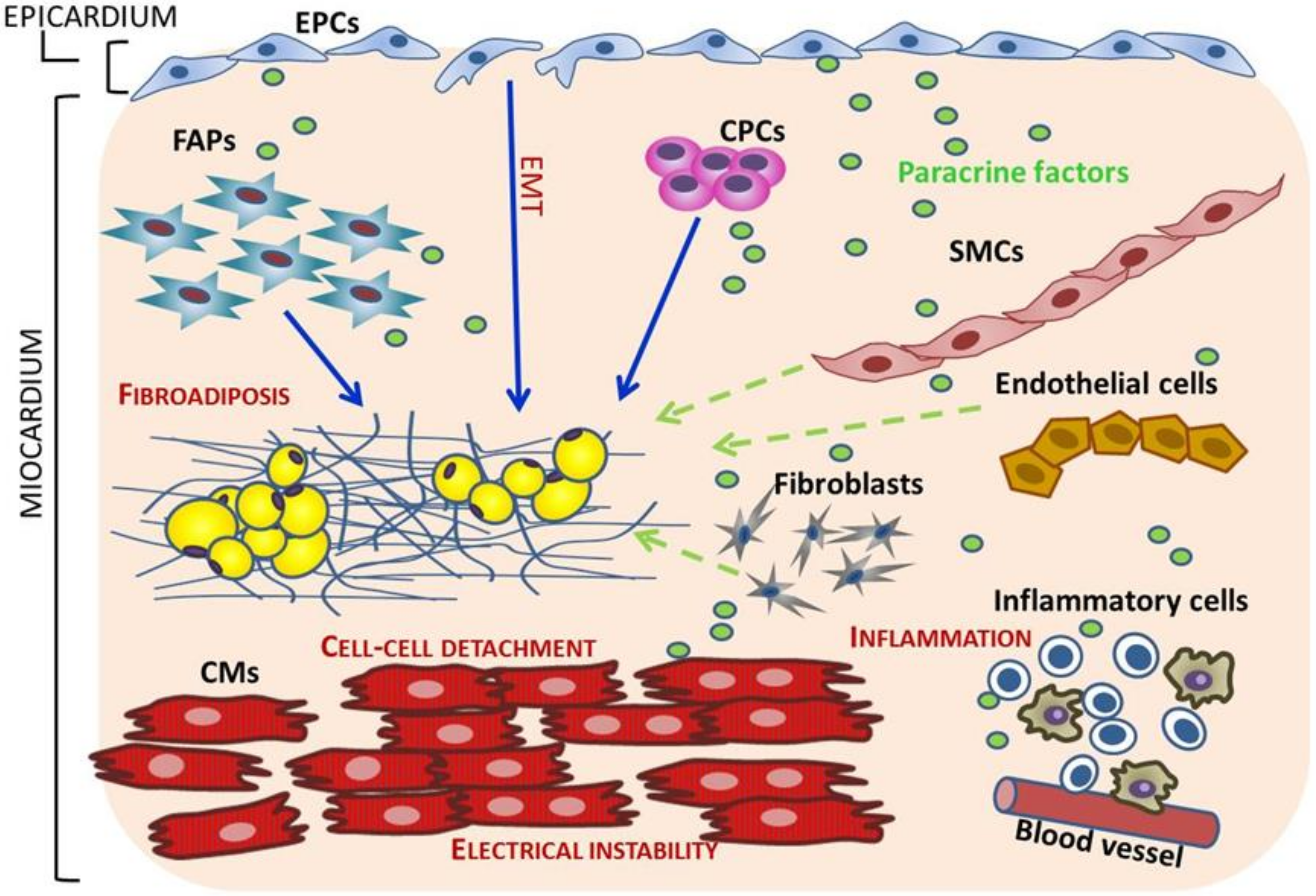 Ijms 21 06320 g004 Ijms 21 06320 g004