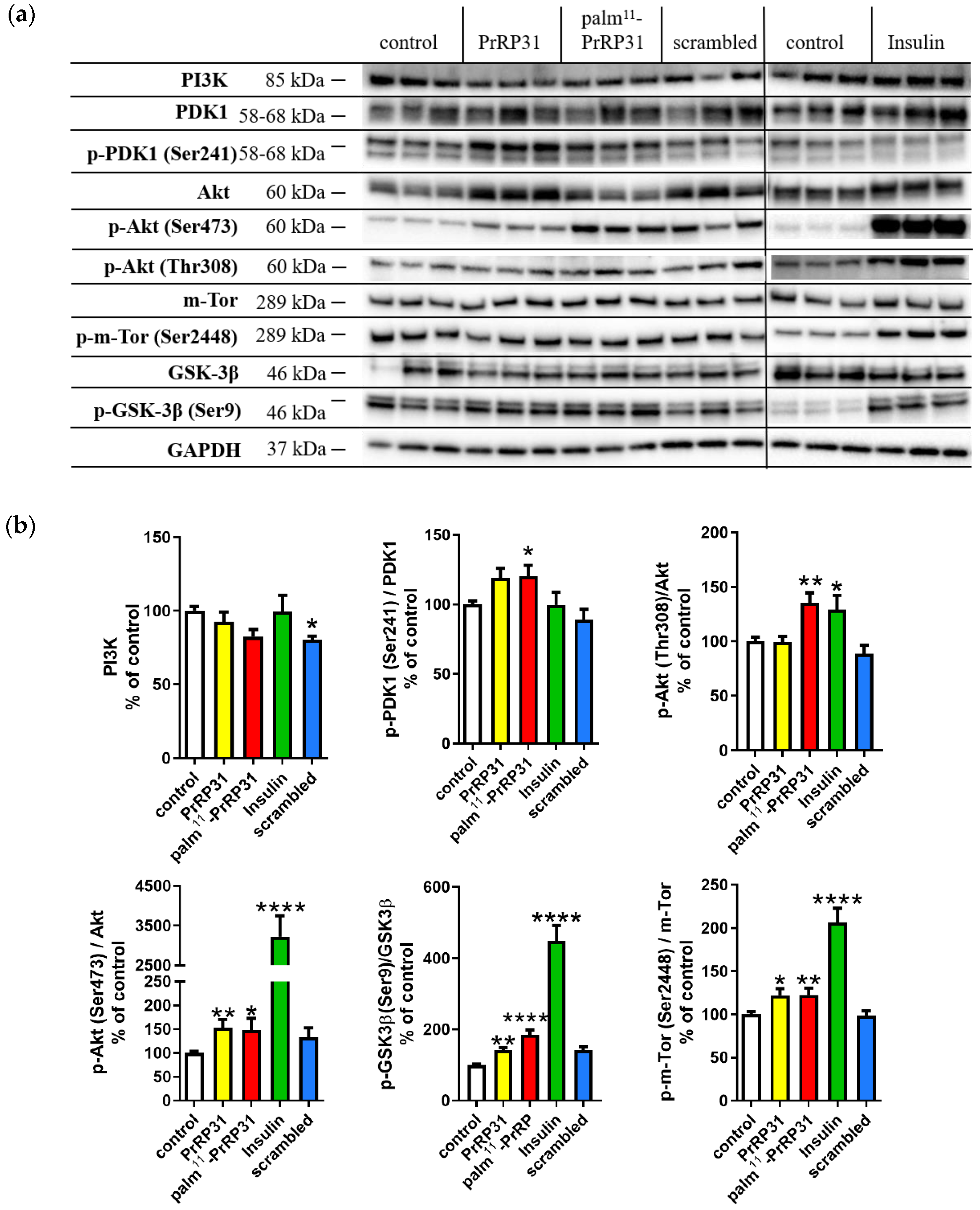 Ijms 21 06343 g001 Ijms 21 06343 g001