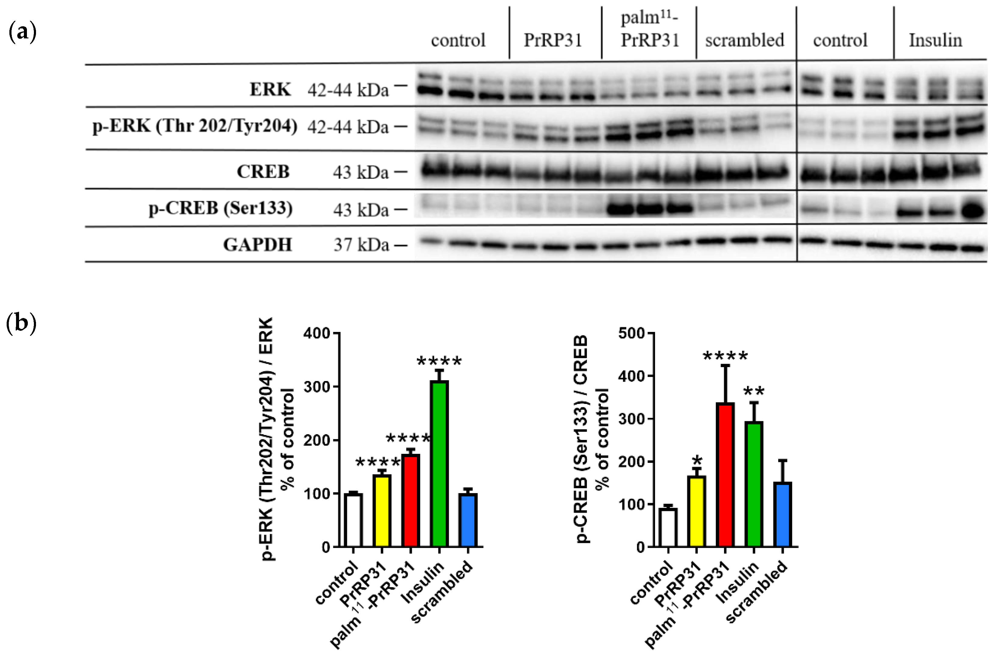 Ijms 21 06343 g002 Ijms 21 06343 g002