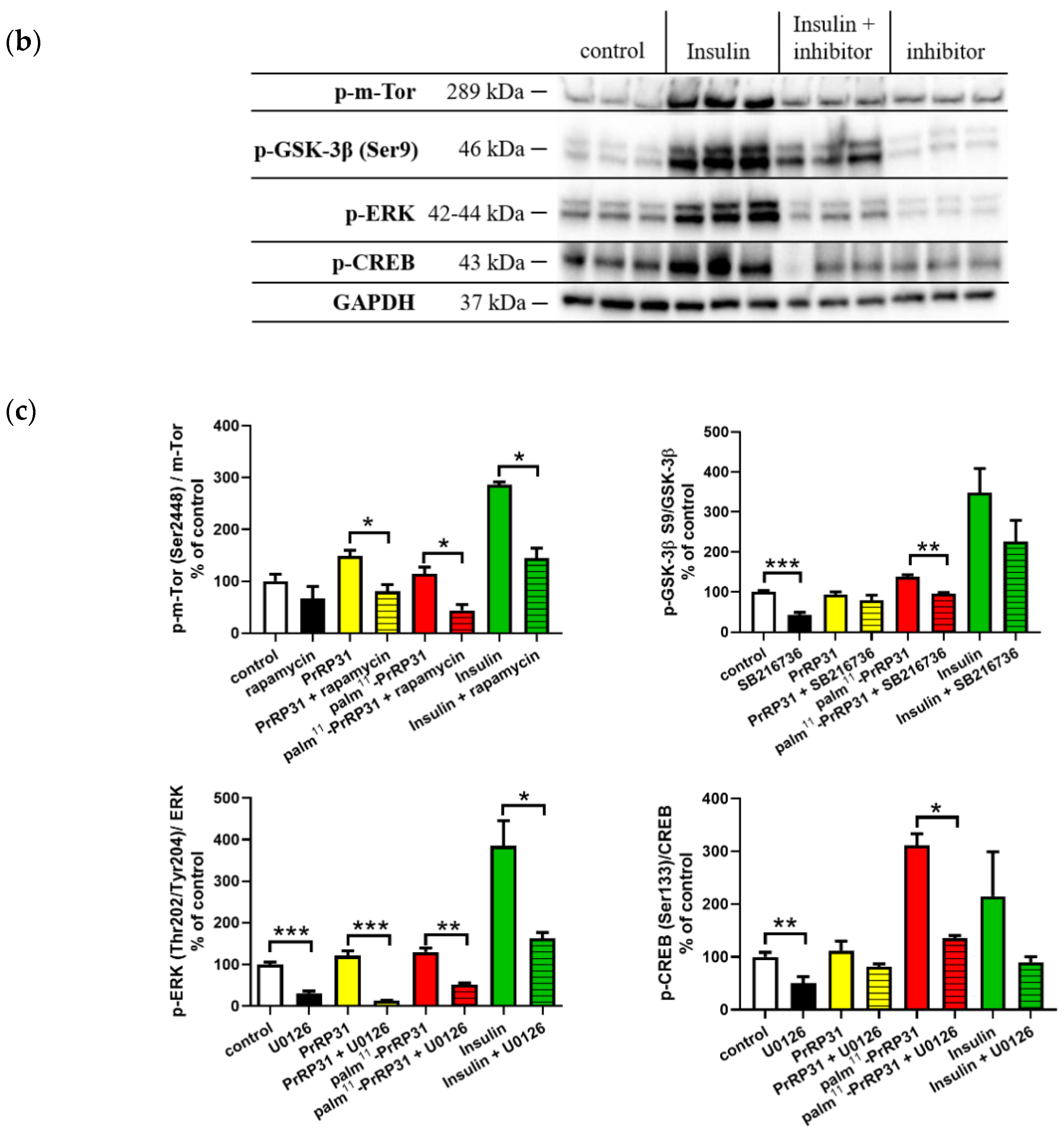 Ijms 21 06343 g003 Ijms 21 06343 g003