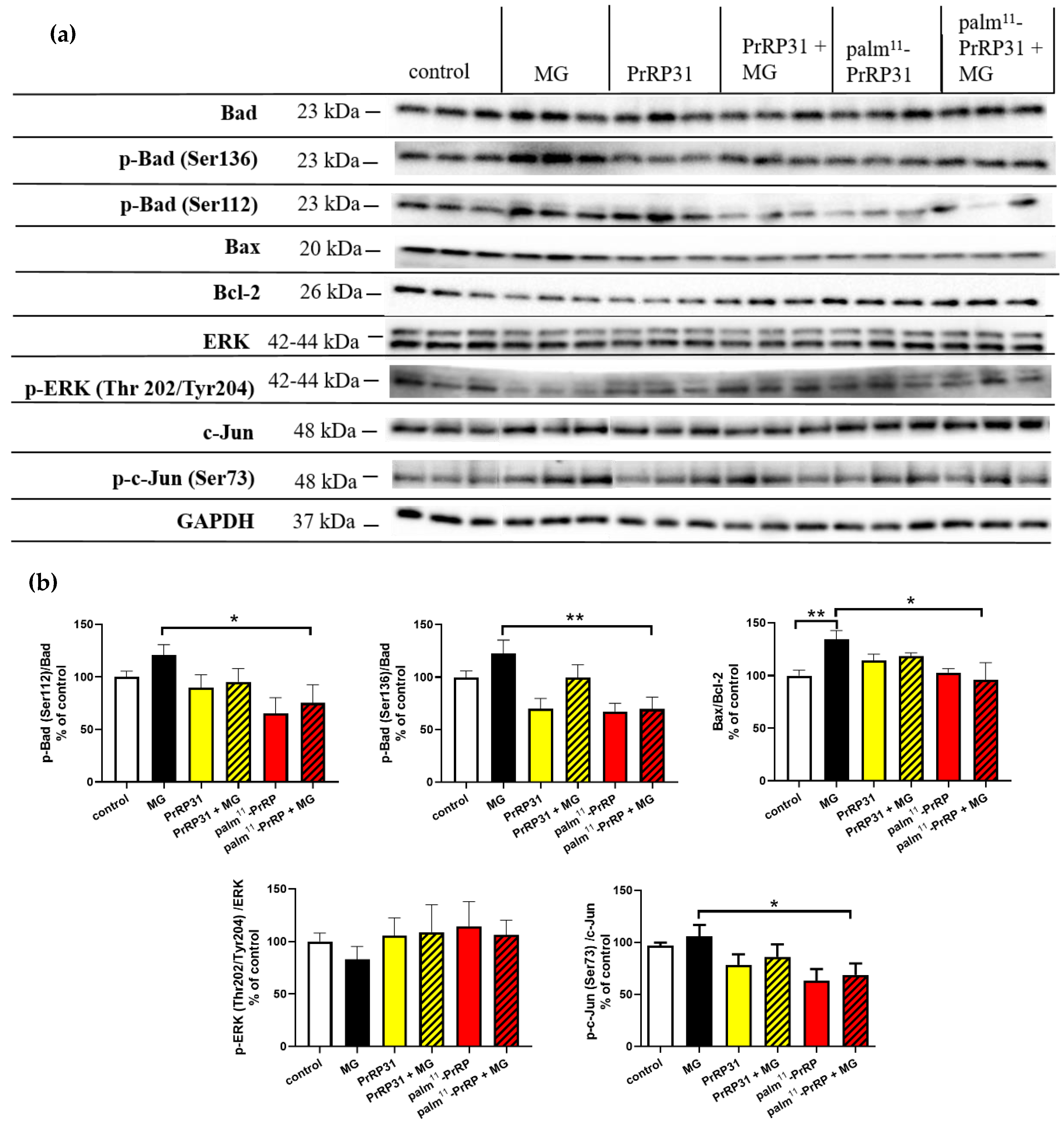 Ijms 21 06343 g007 Ijms 21 06343 g007