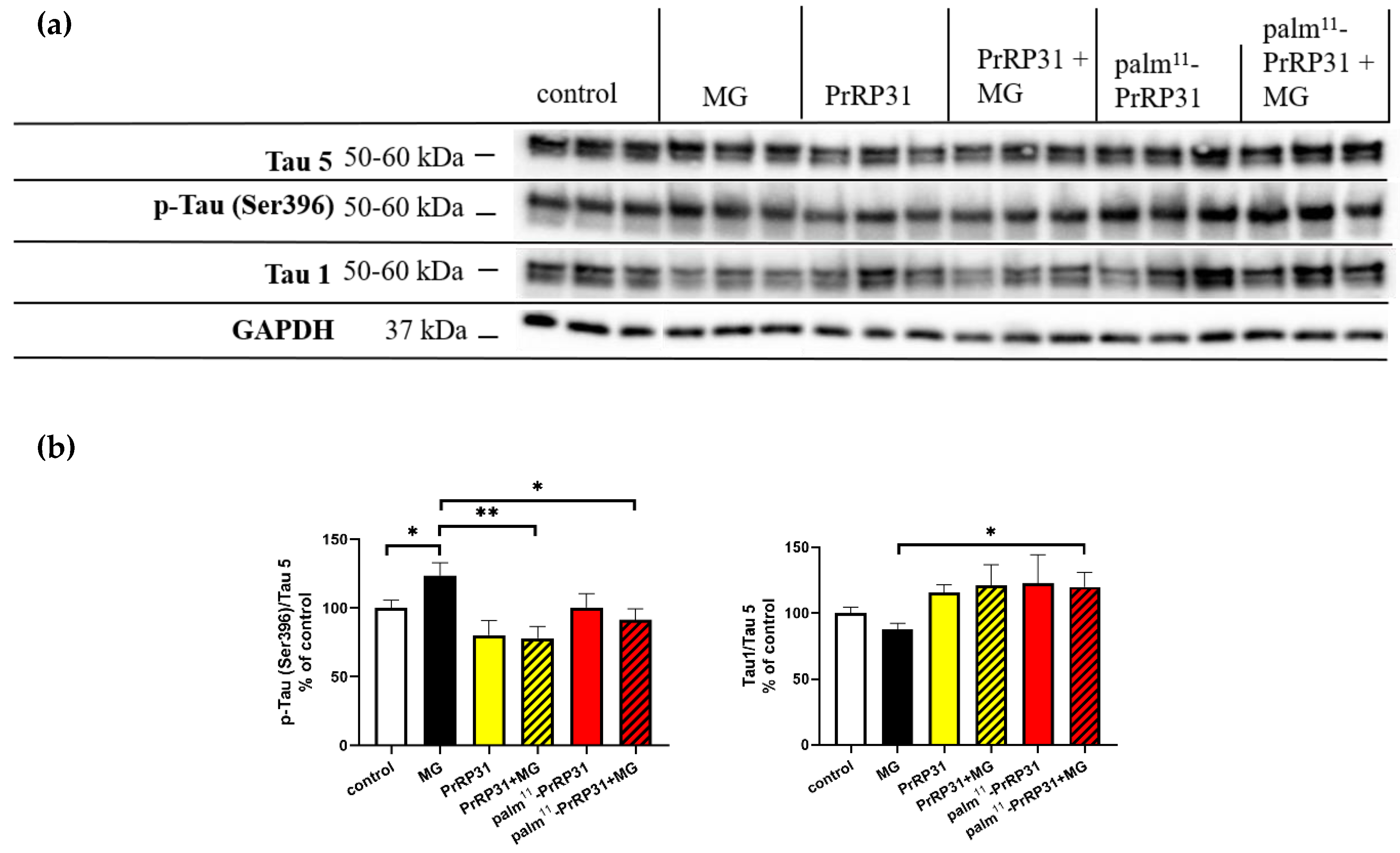 Ijms 21 06343 g008 Ijms 21 06343 g008