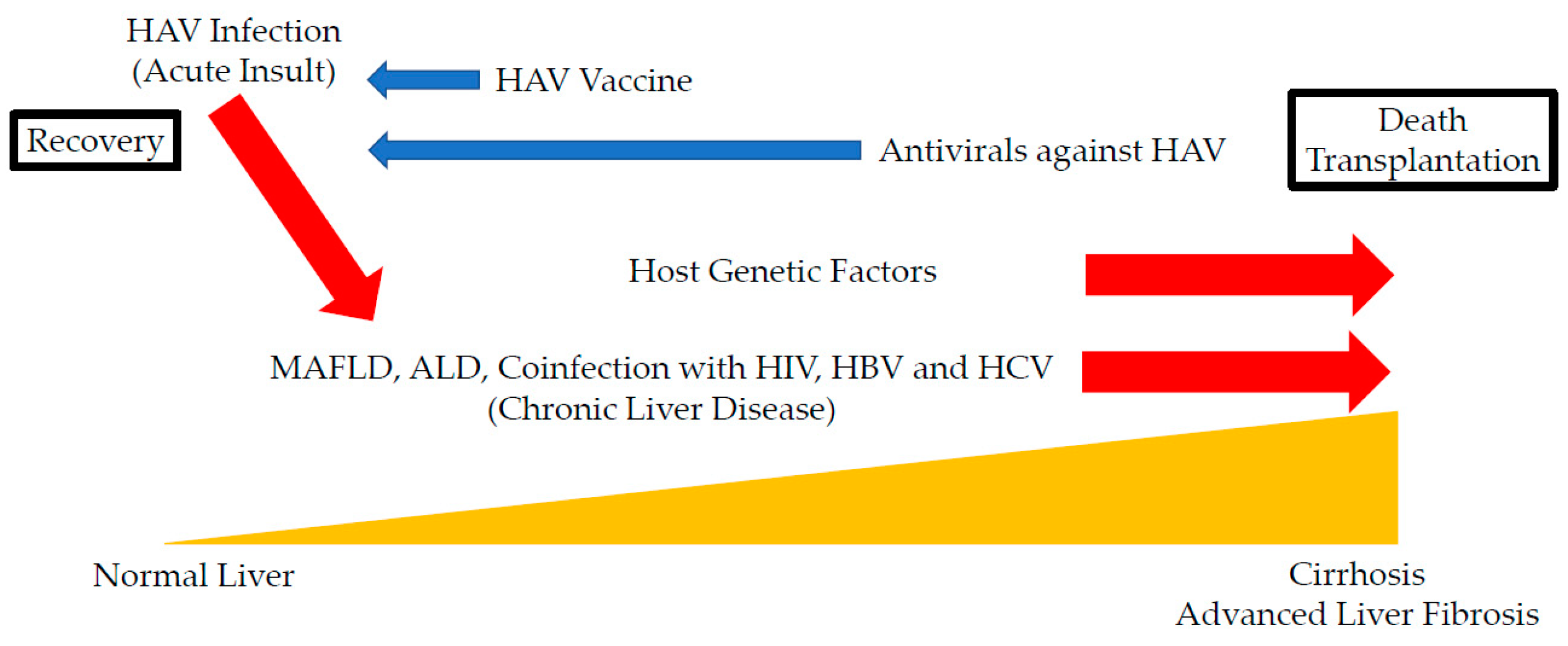Ijms 21 06384 g001 Ijms 21 06384 g001