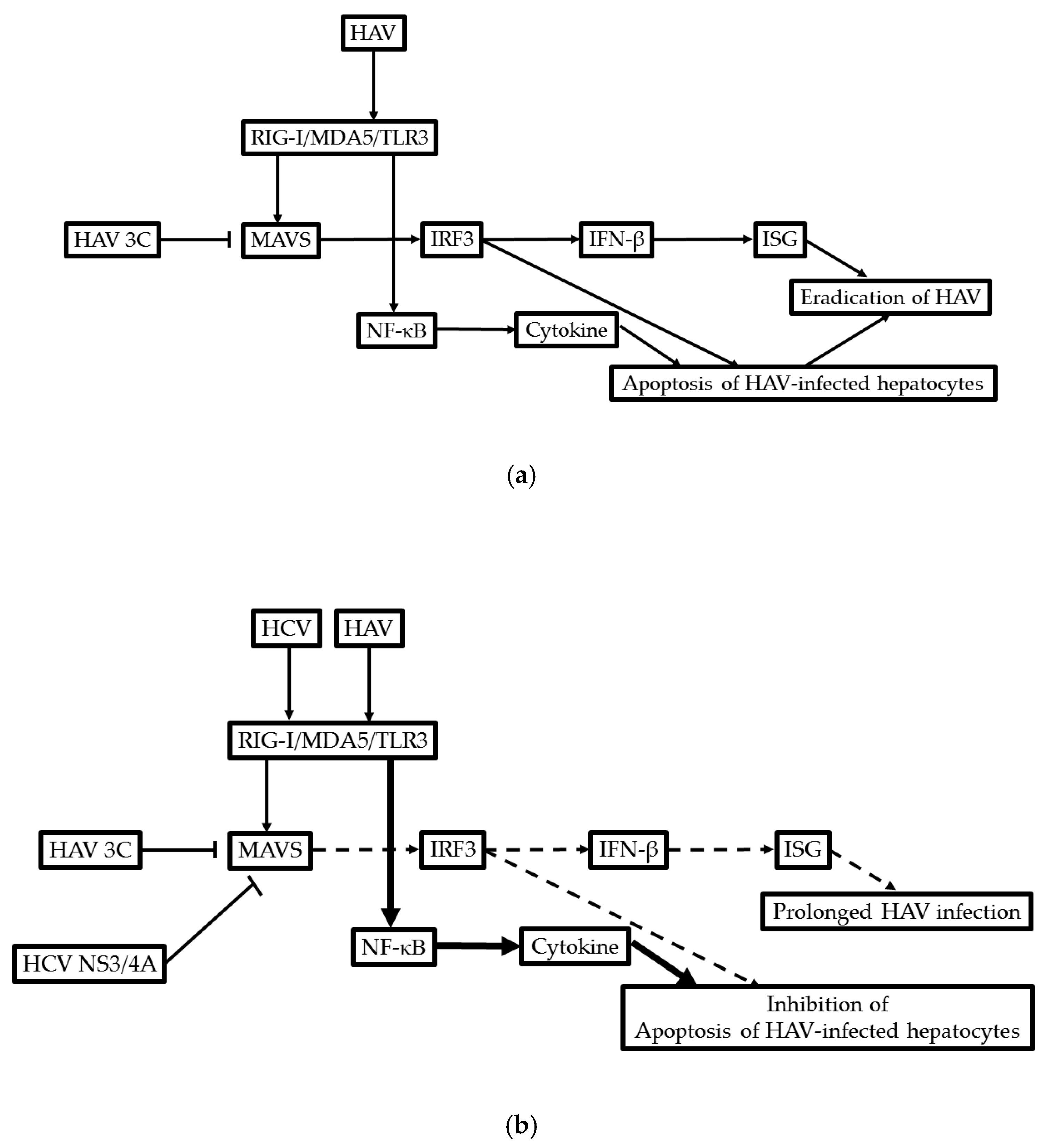 Ijms 21 06384 g002 Ijms 21 06384 g002